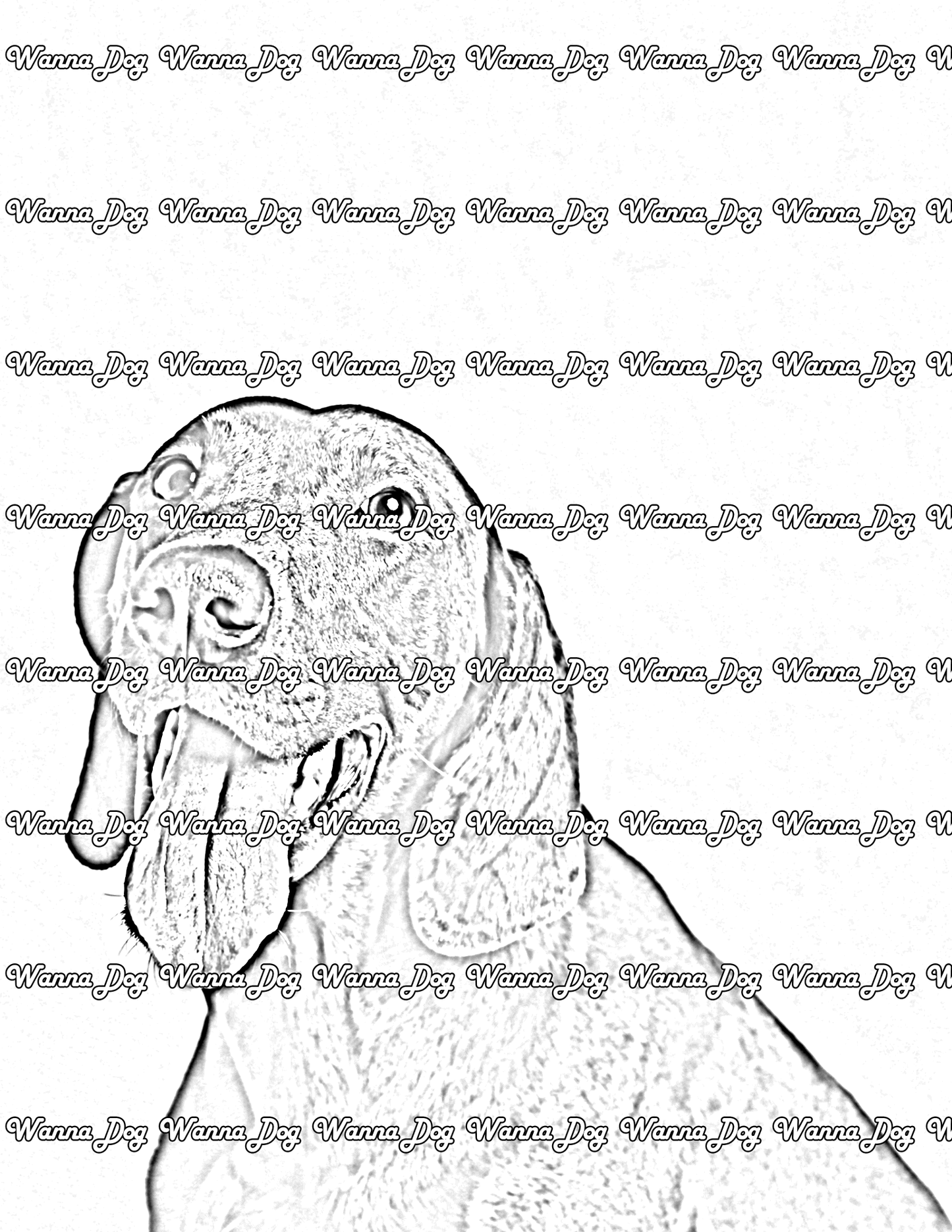 German Shorthaired Pointer Coloring Pages of a German Shorthaired Pointer close up with their tongue out