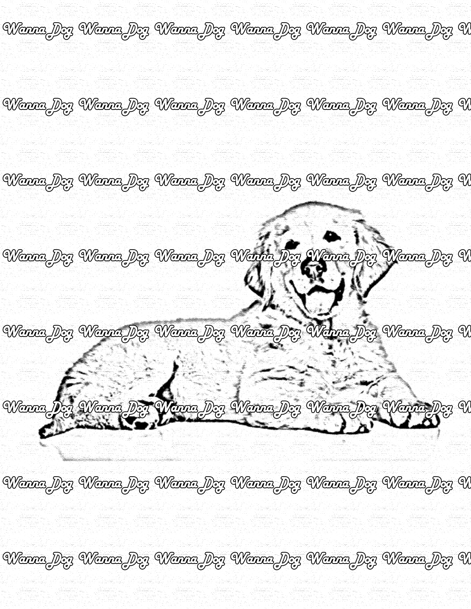 Golden Retriever Puppy Coloring Page of a Golden Retriever Puppy laying down and smiling