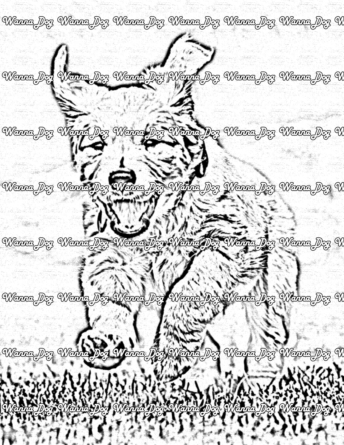 Golden Retriever Puppy Coloring Page of a Golden Retriever Puppy running