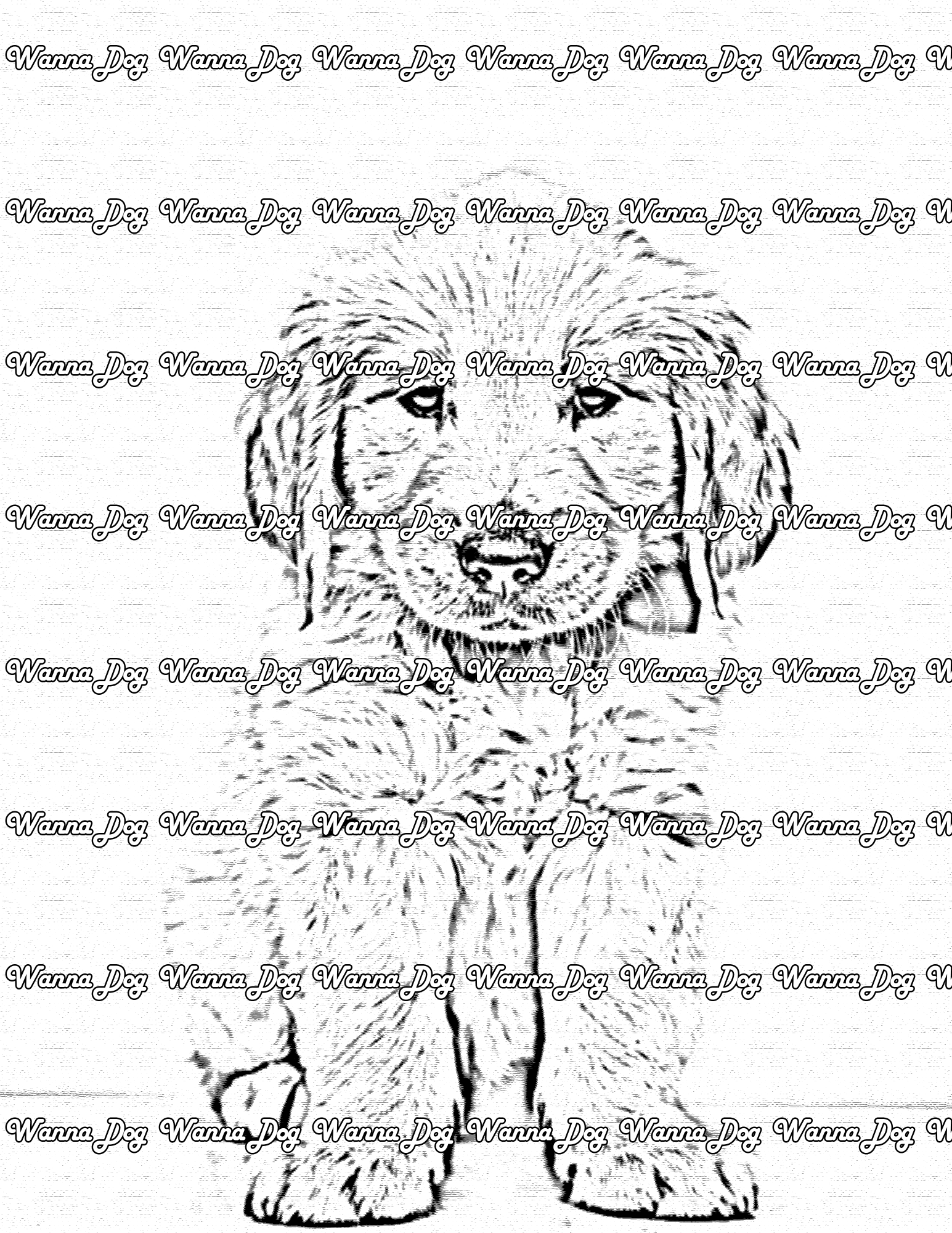 Golden Retriever Puppy Coloring Page of a Golden Retriever Puppy wearing a bowtie