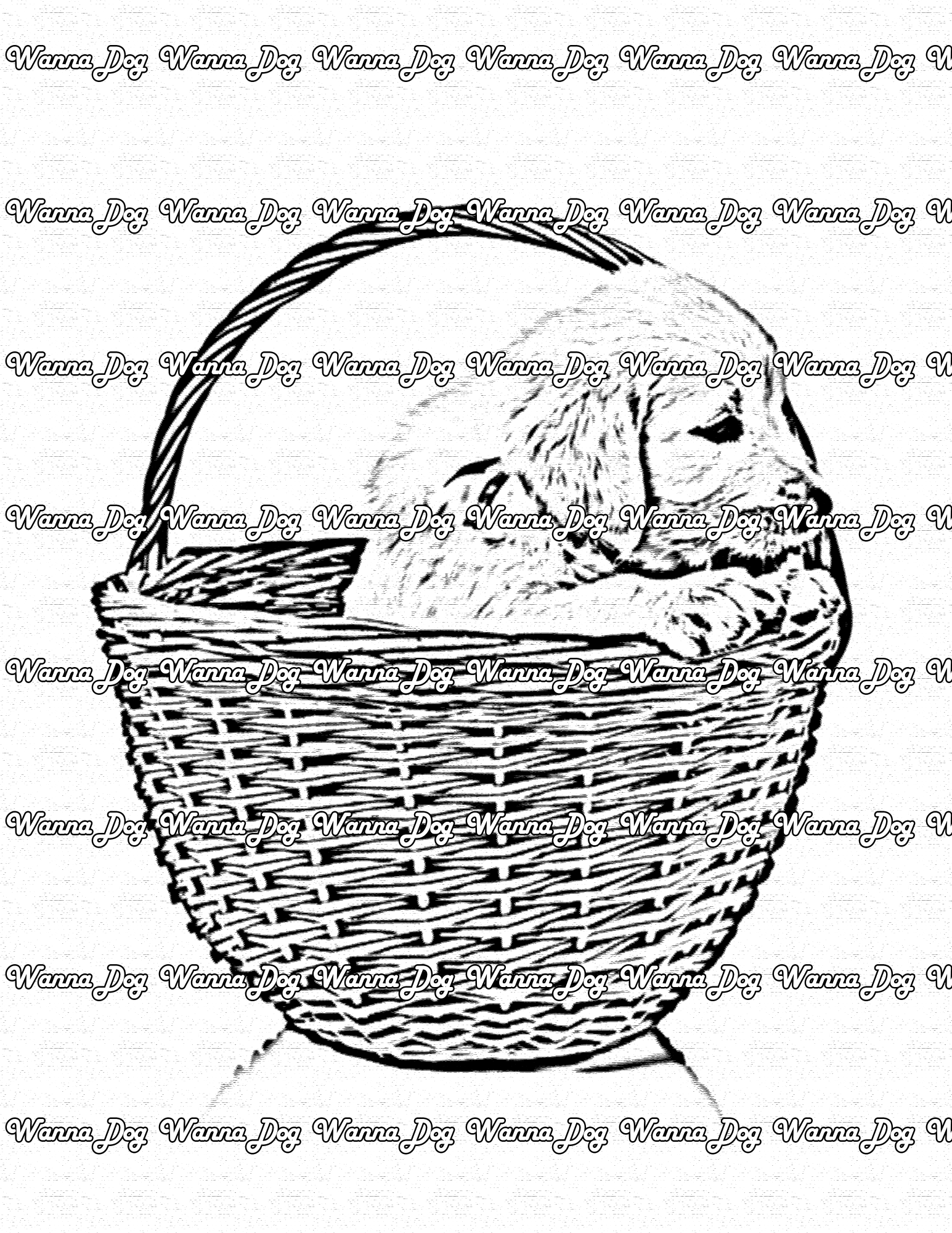 Golden Retriever Puppy Coloring Page of a Golden Retriever Puppy in a basket
