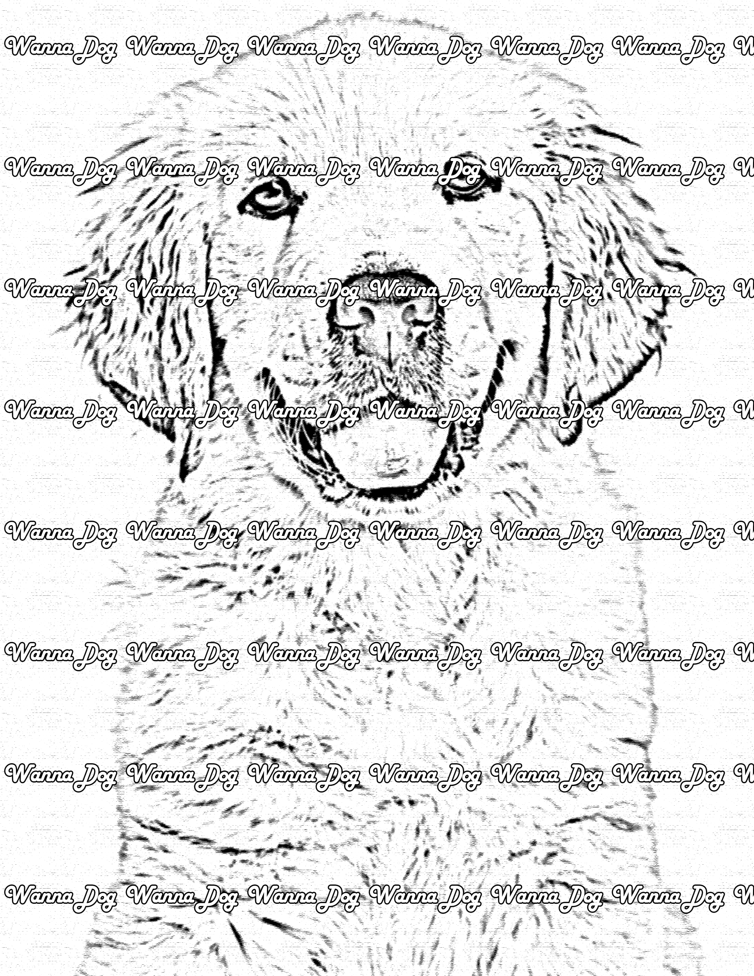Golden Retriever Puppy Coloring Page of a Golden Retriever Puppy smiling and posing