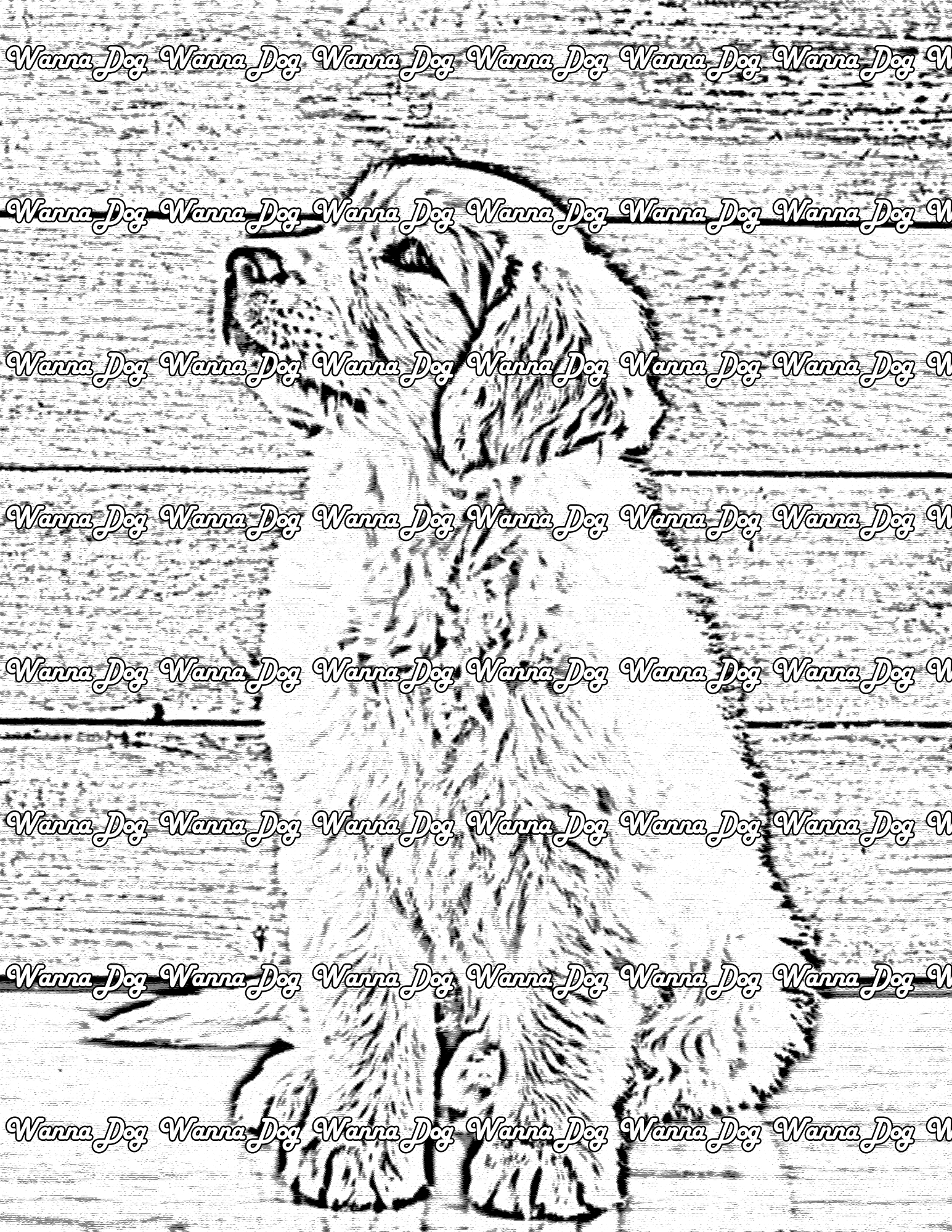 Golden Retriever Puppy Coloring Page of a Golden Retriever Puppy looking away from the camera