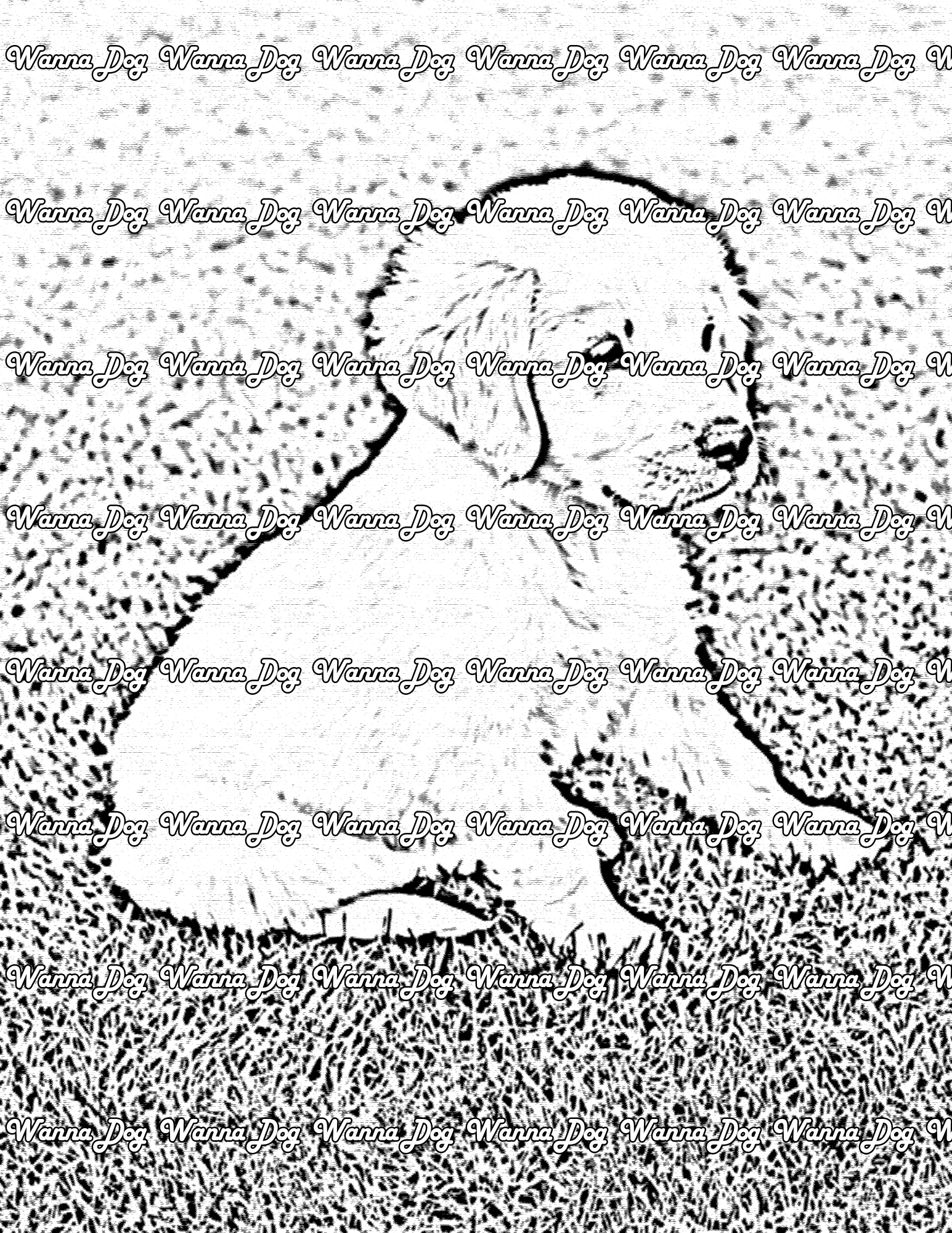 Golden Retriever Puppy Coloring Page of a Golden Retriever Puppy sitting in grass