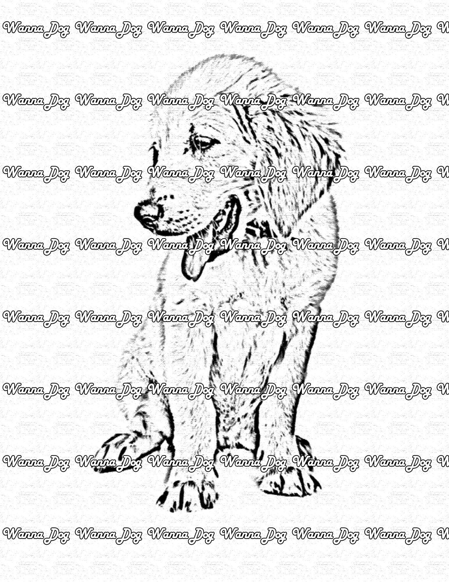 Golden Retriever Puppy Coloring Page of a Golden Retriever Puppy posing with their tongue out