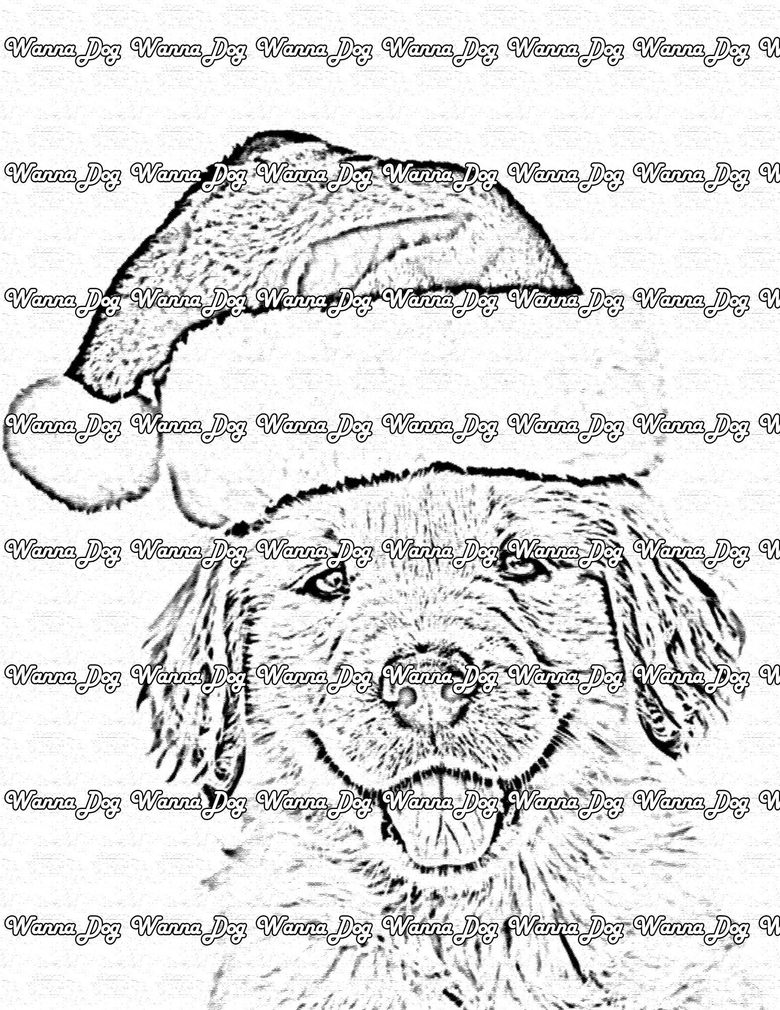 Christmas Puppy Coloring Page of a Christmas Golden Retriever Puppy in a santa hat