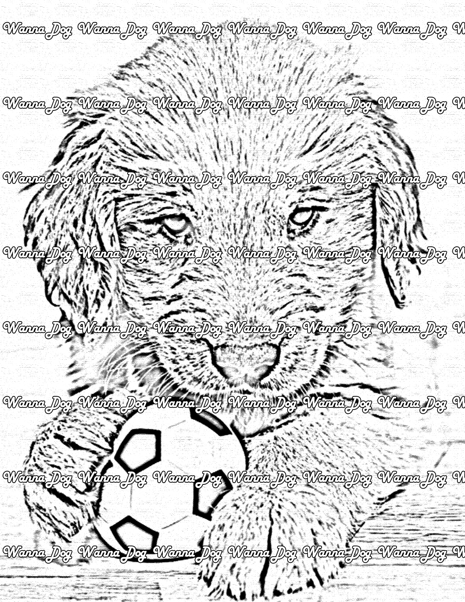 Golden Retriever Puppy Coloring Page of a Golden Retriever Puppy with a soccer ball