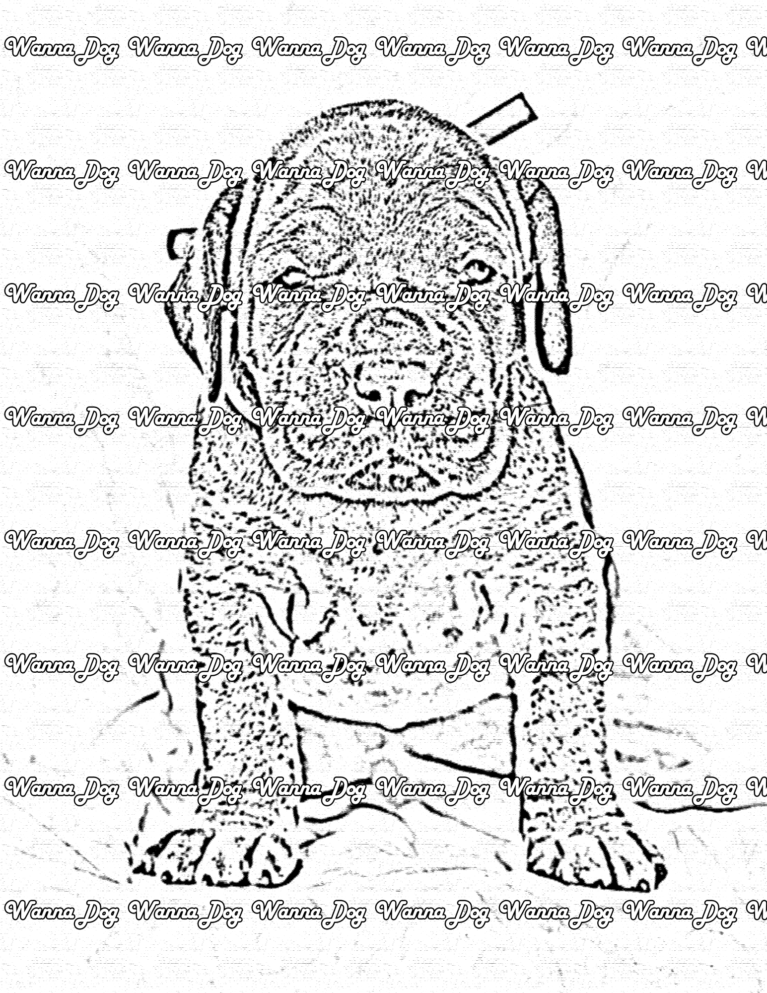Great Dane Coloring Page of a Great Dane puppy posing