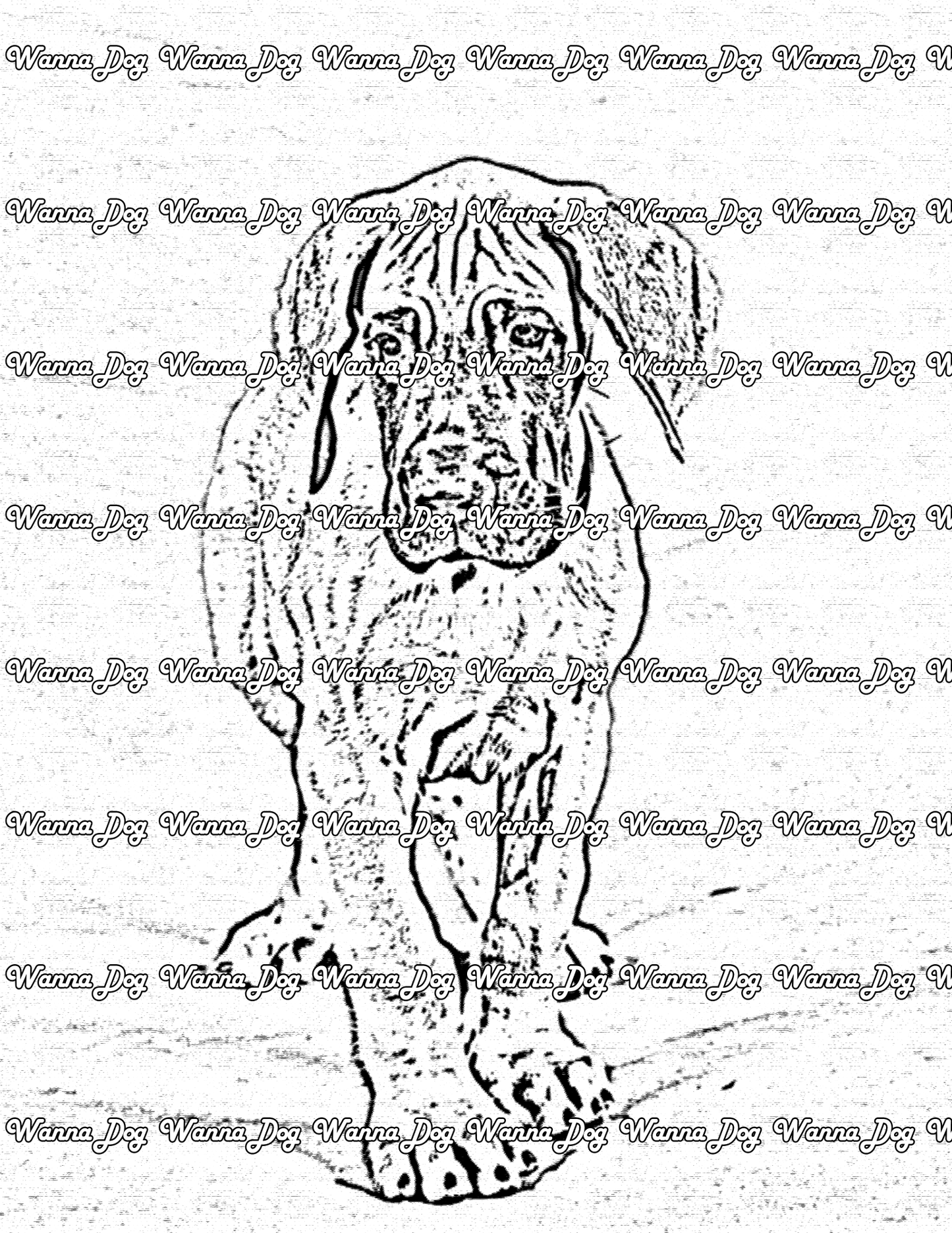 Great Dane Coloring Page of a Great Dane puppy standing