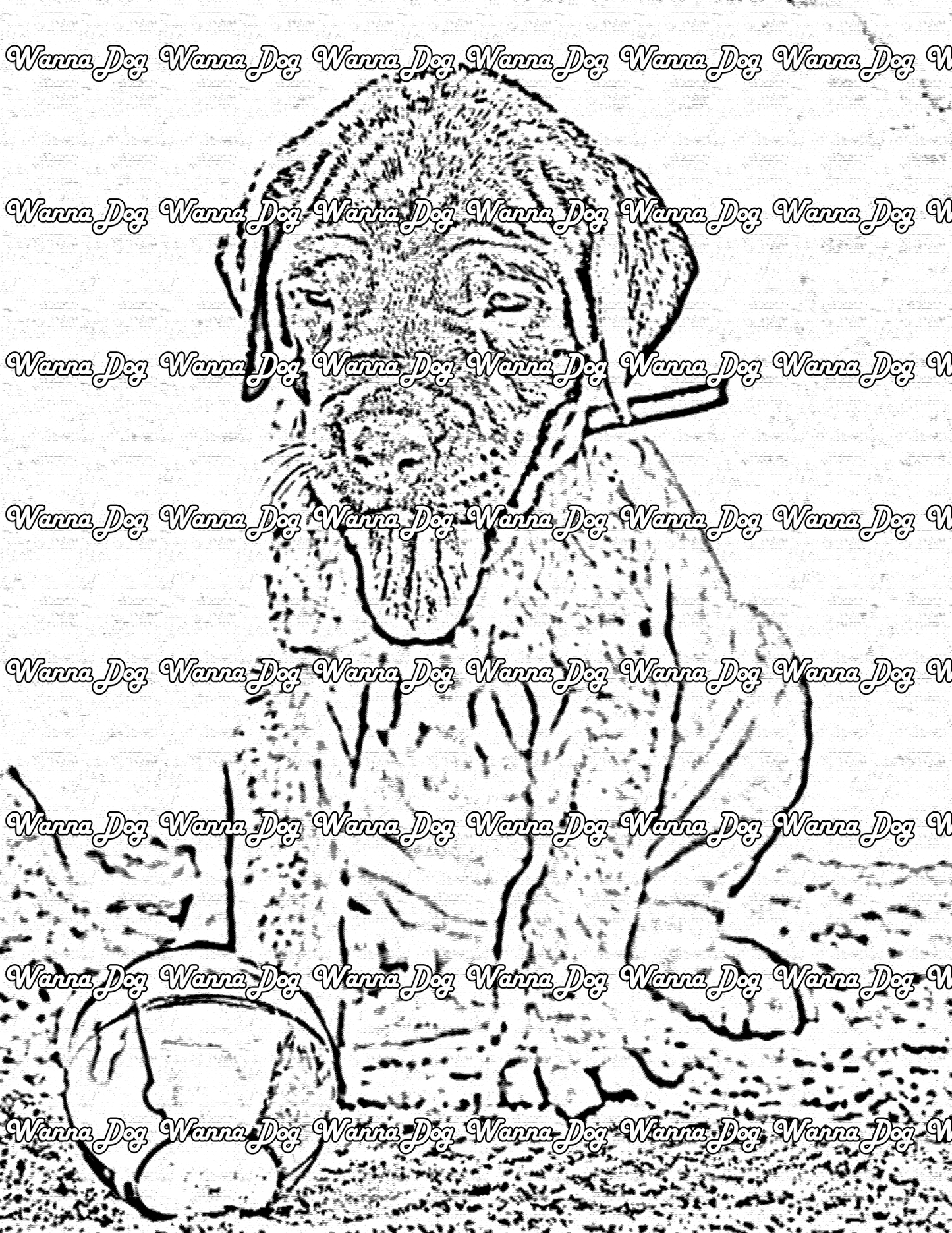 Great Dane Coloring Page of a Great Dane puppy at the beach and playing with a beach ball