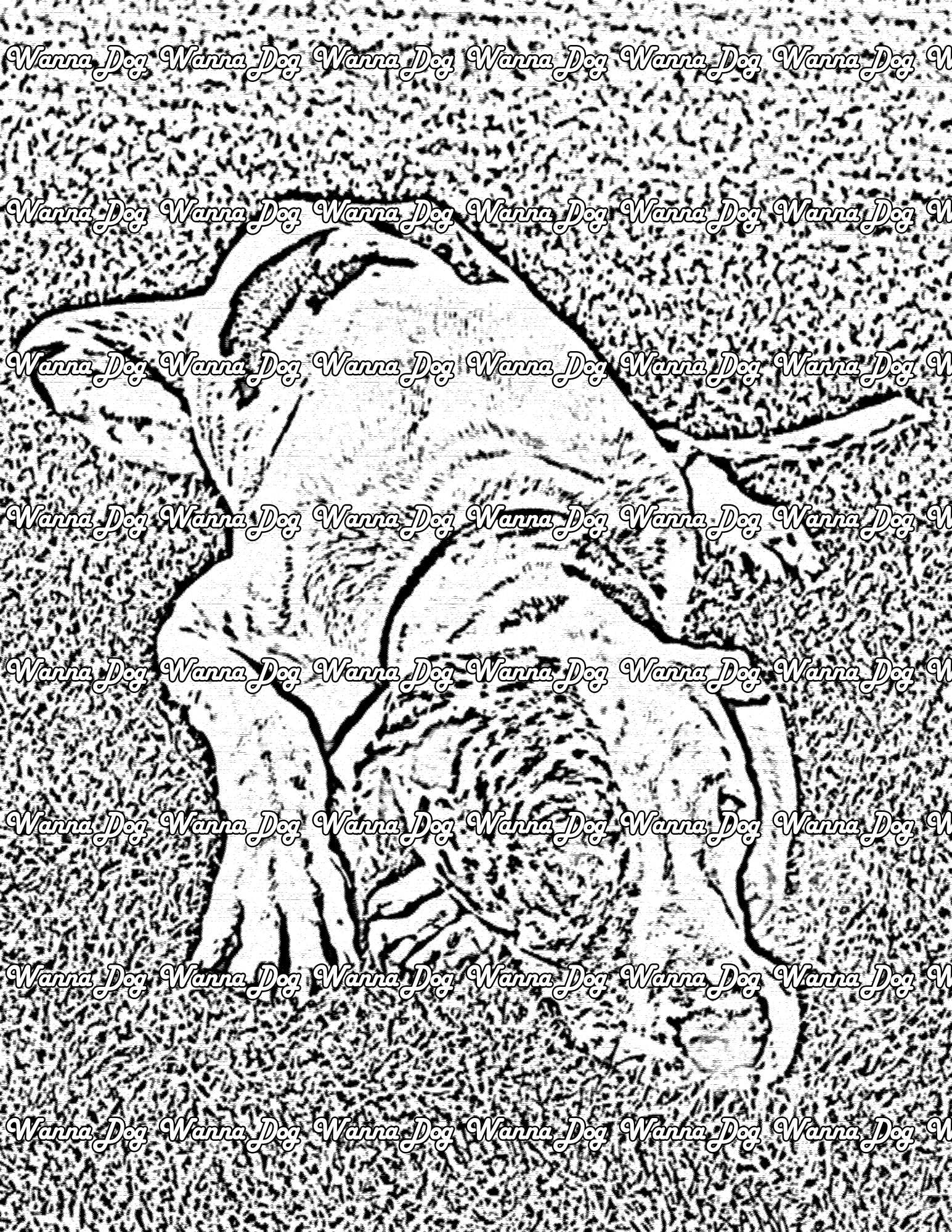 Great Dane Coloring Page of a Great Dane laying on grass