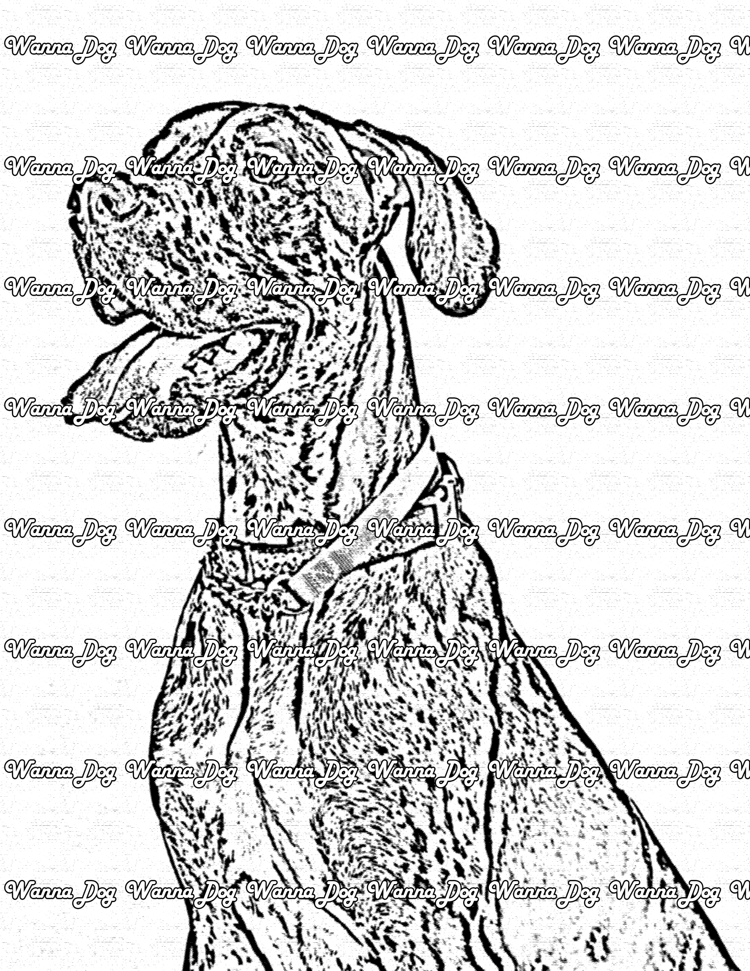 Great Dane Coloring Page of a Great Dane with their tongue out