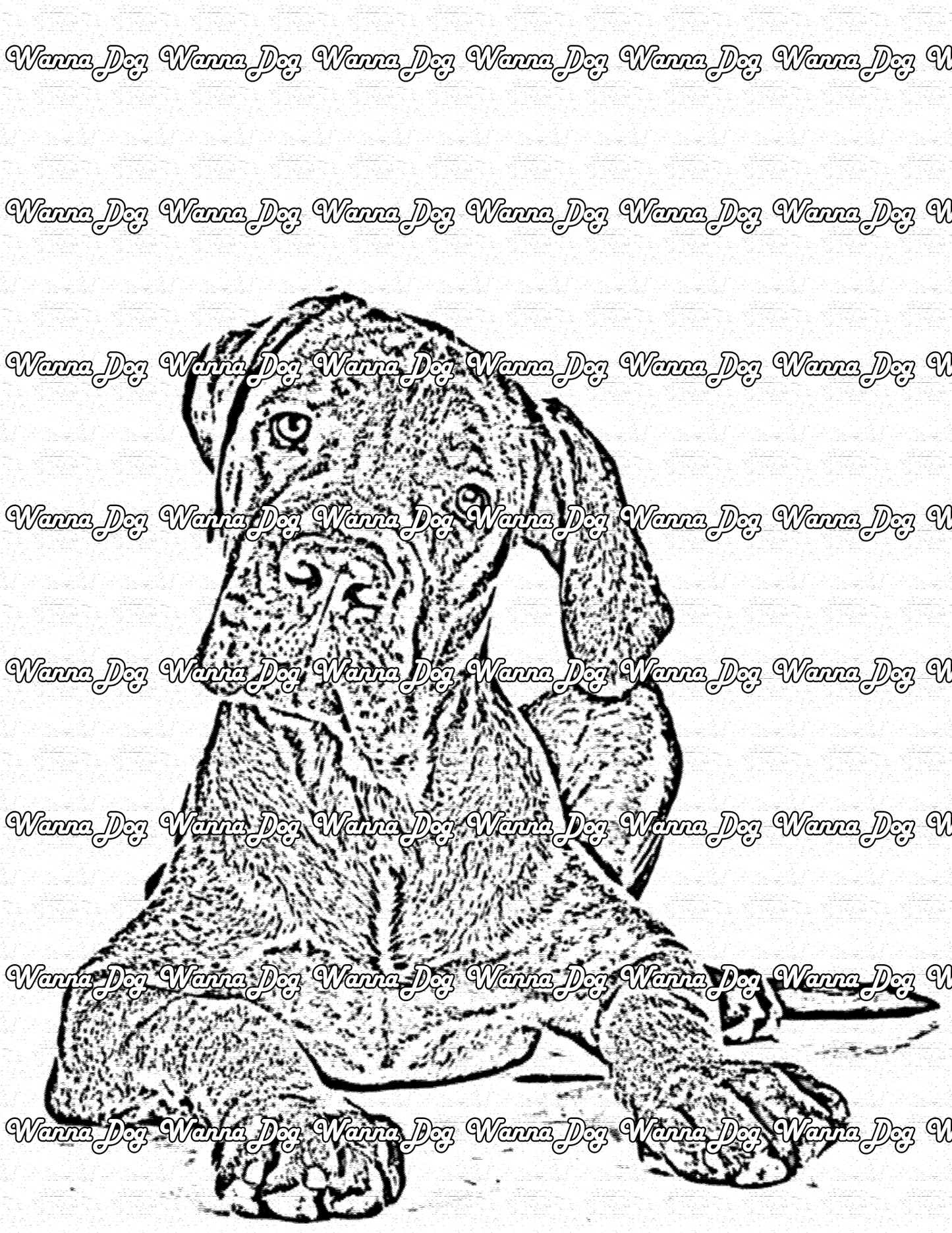 Great Dane Coloring Page of a Great Dane laying down