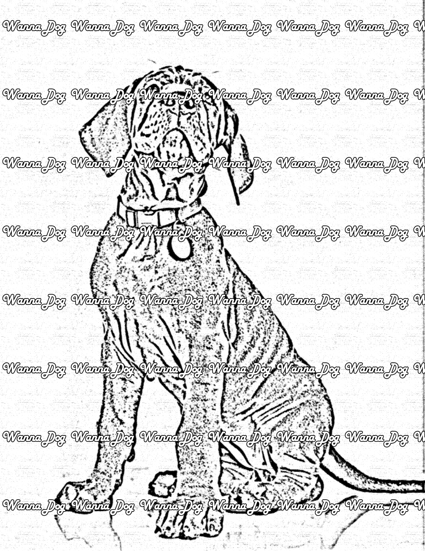 Great Dane Coloring Page of a Great Dane sitting down and posing
