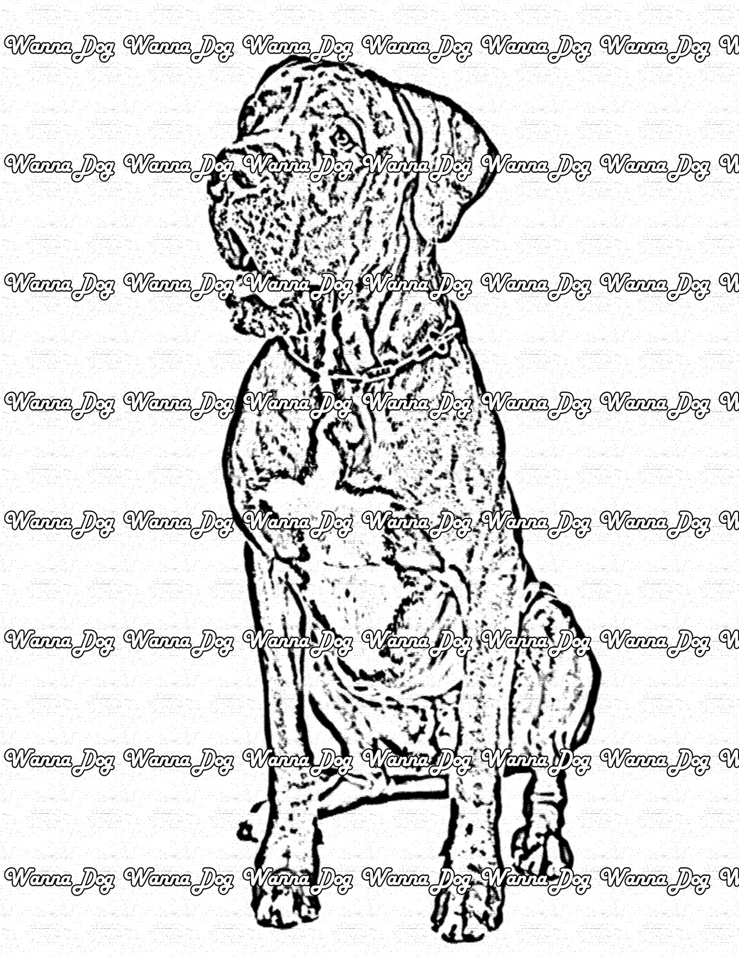 Great Dane Coloring Page of a Great Dane sitting and smiling