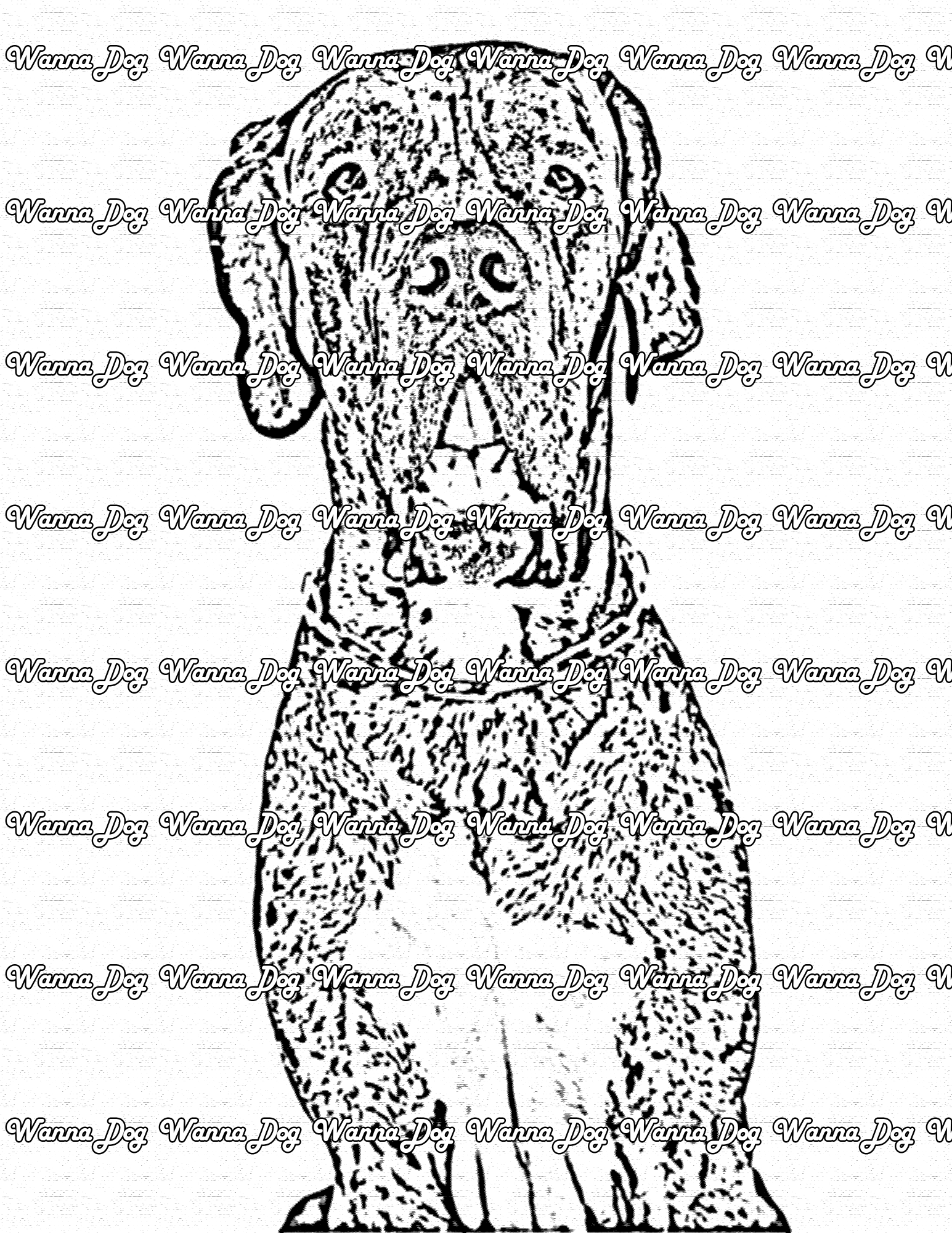 Great Dane Coloring Page of a Great Dane posing for the camera