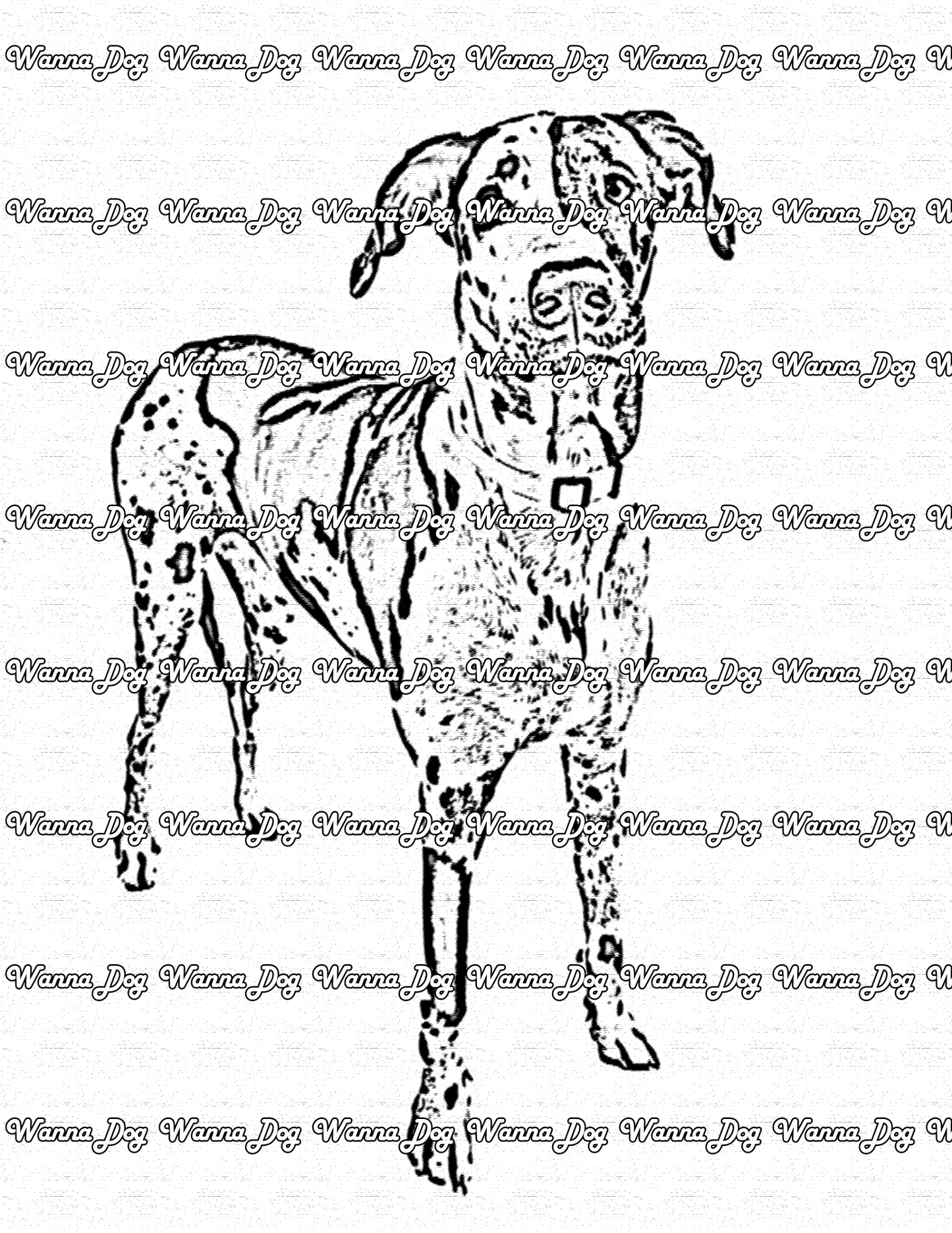 Great Dane Coloring Page of a Great Dane standing up for the camera