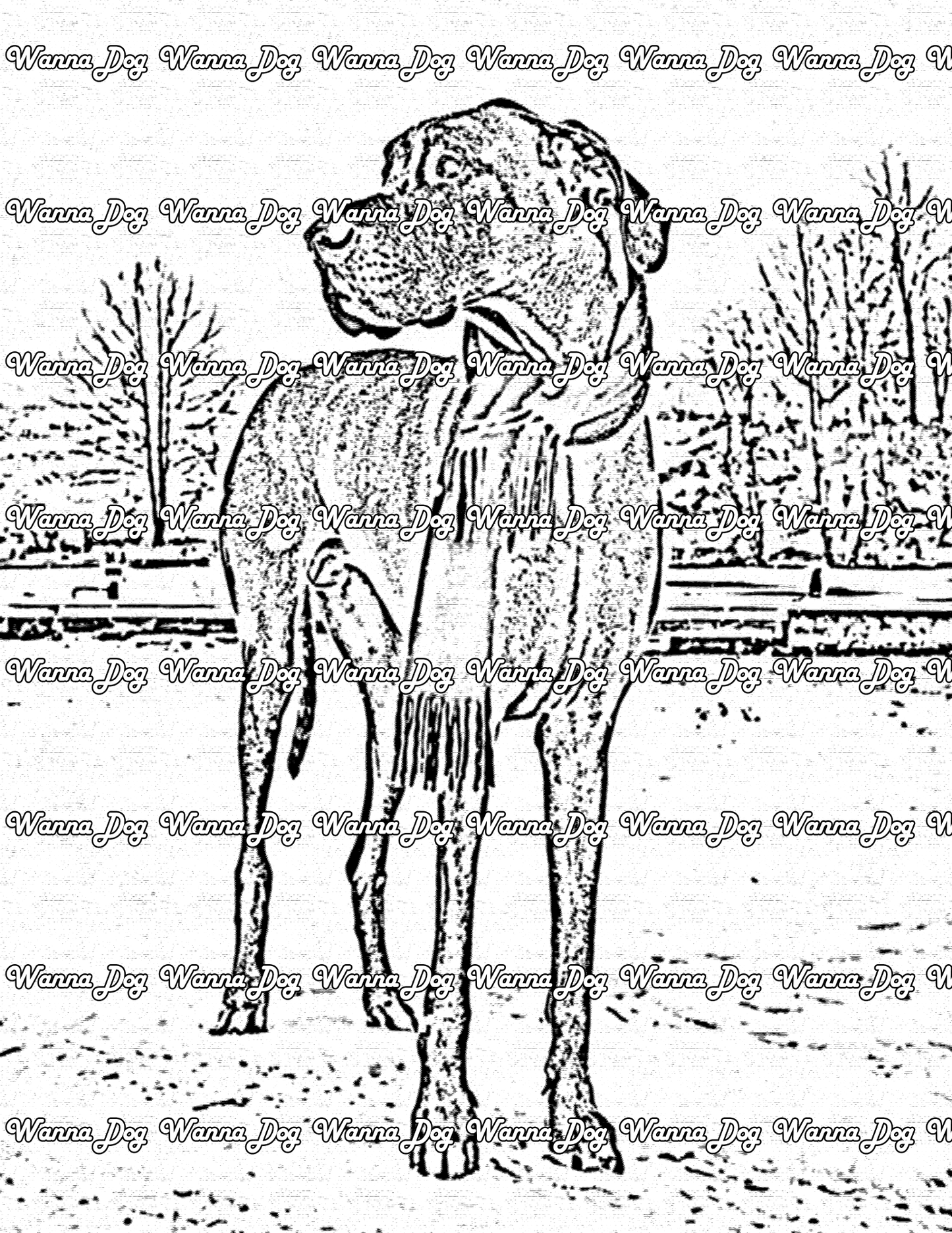 Great Dane Coloring Page of a Great Dane with a scarf