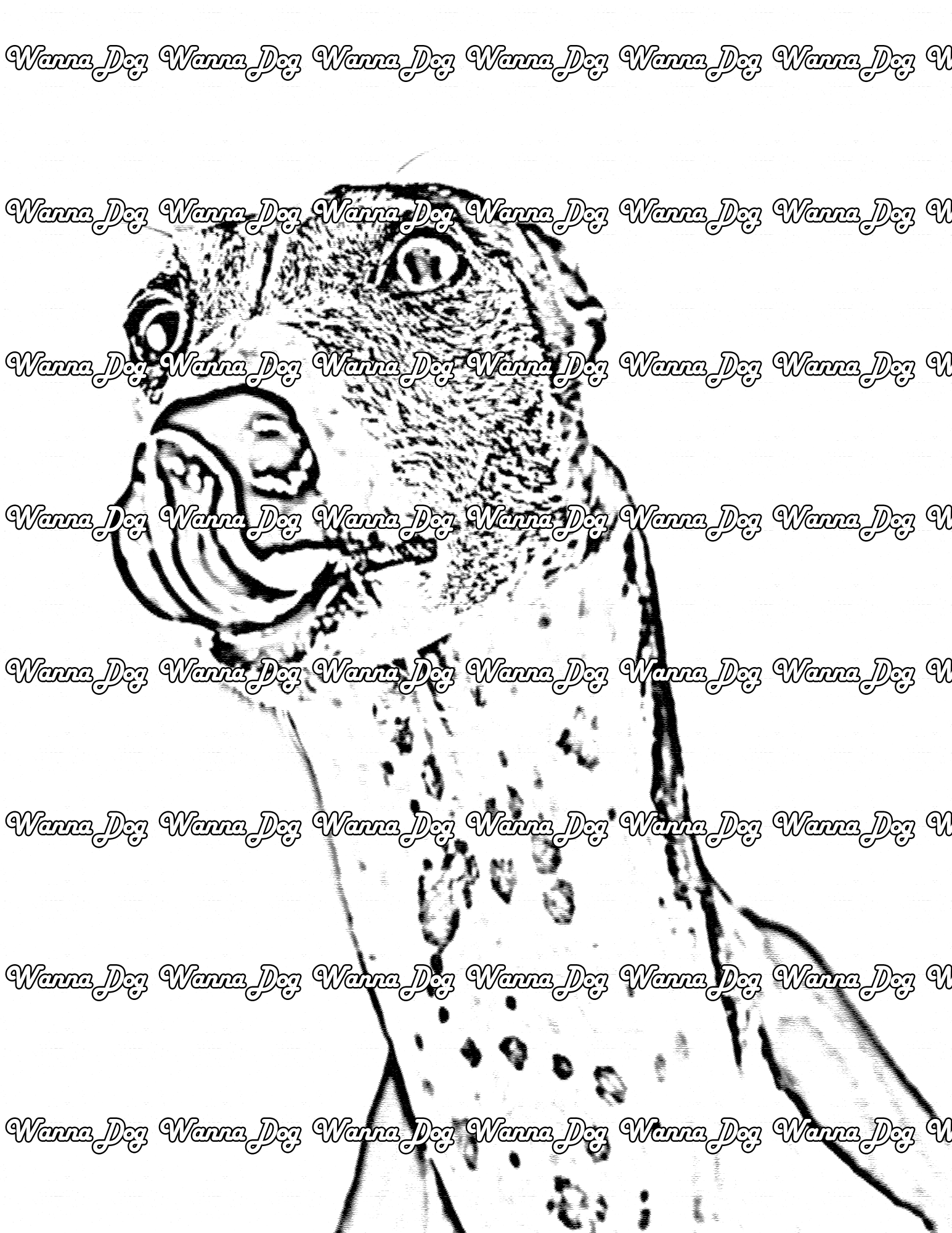 Greyhound Coloring Page of a Greyhound licking their nose