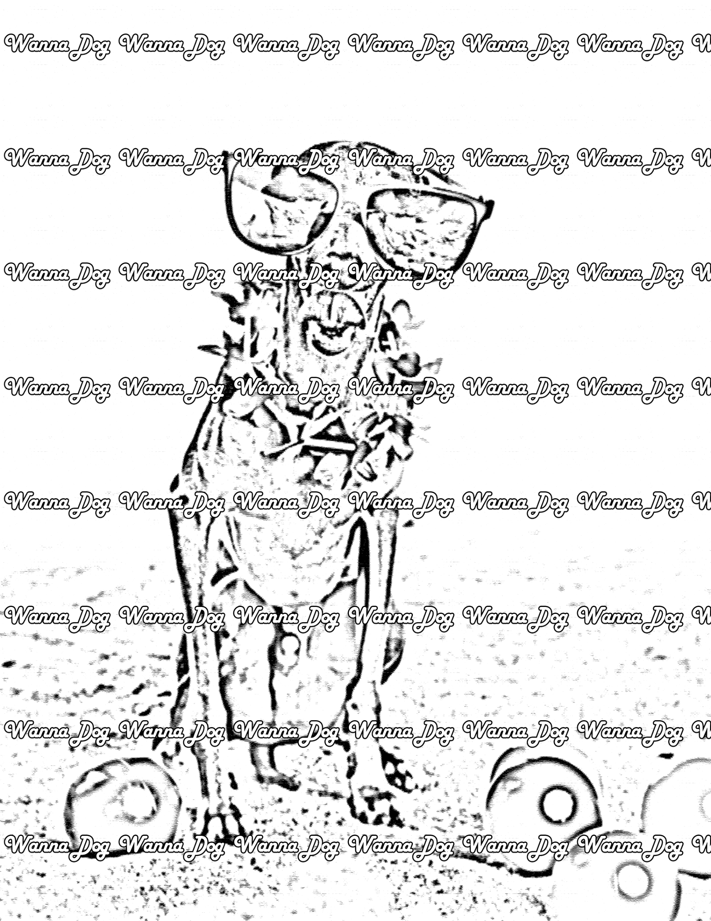 Greyhound Coloring Page of a Greyhound at the beach