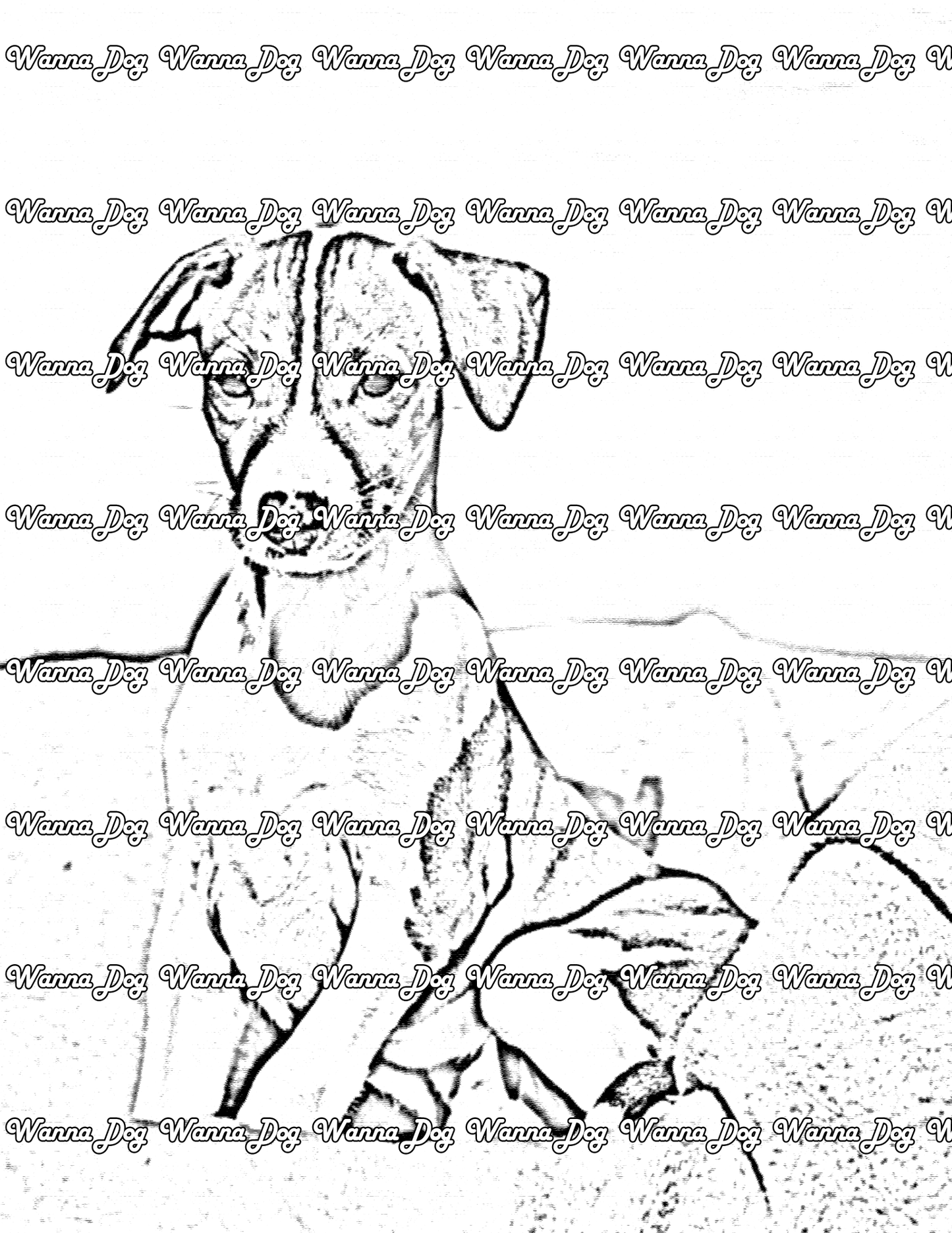 Greyhound Coloring Page of a Greyhound posing outside