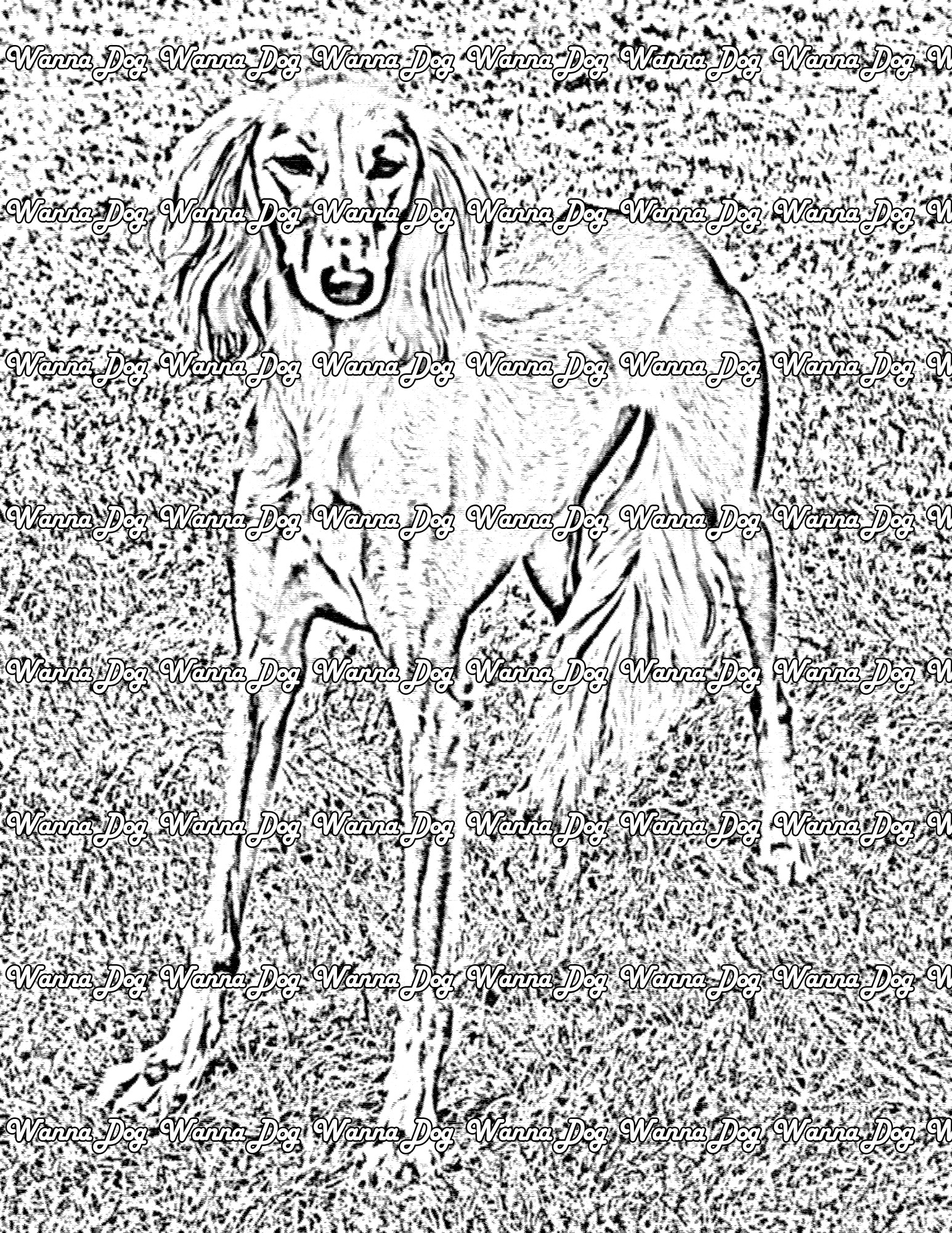 Greyhound Coloring Page of a Greyhound standing in the grass