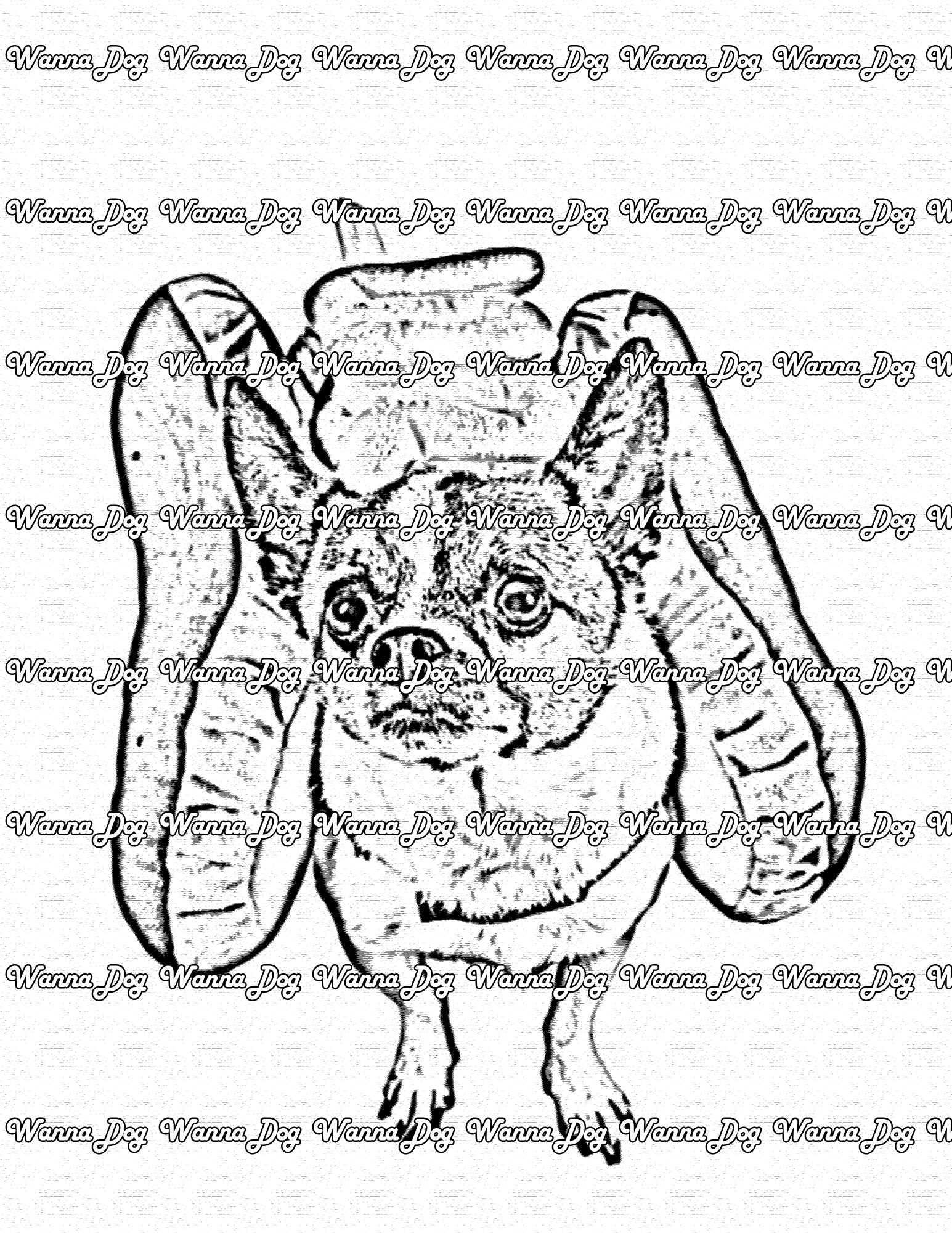 Halloween Dog Coloring Page of a Dog in a hot dog costume