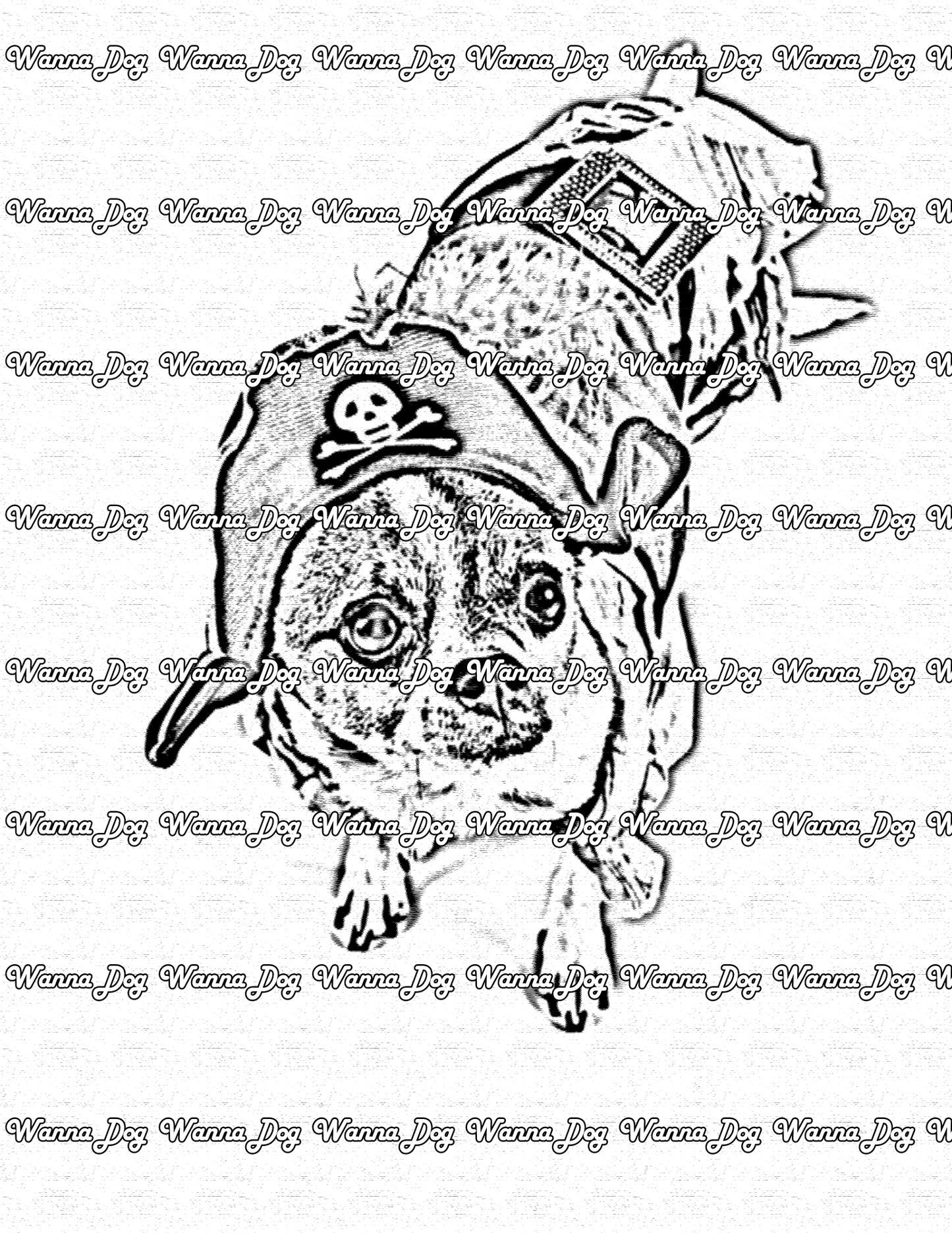 Halloween Dog Coloring Page of a Dog in a pirate costume