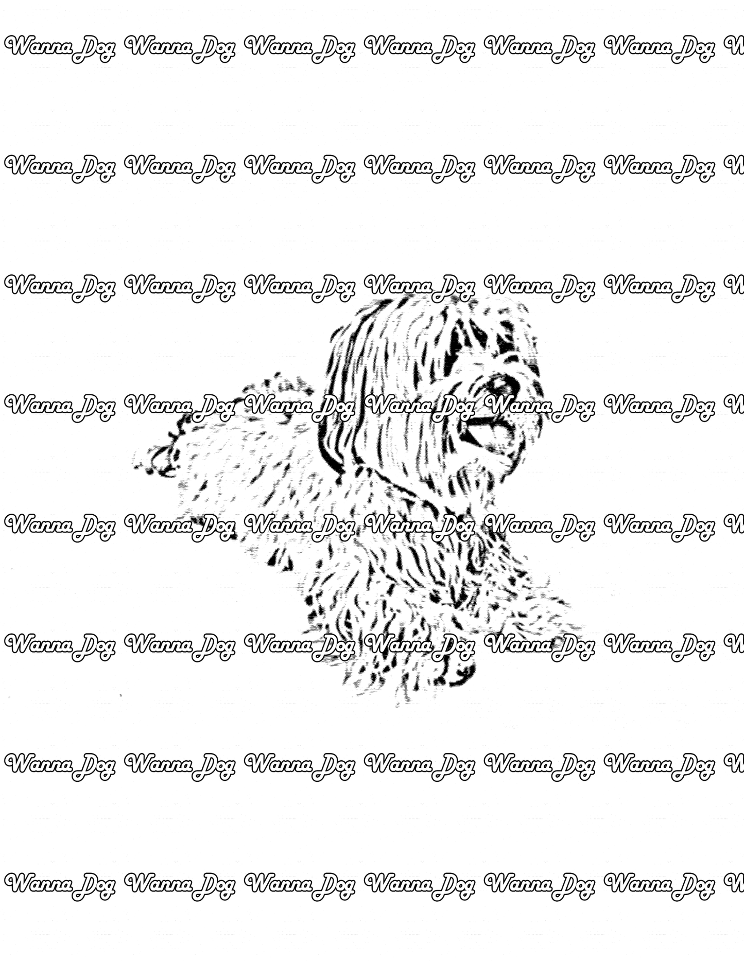 Havanese Coloring Page of a Havanese laying down