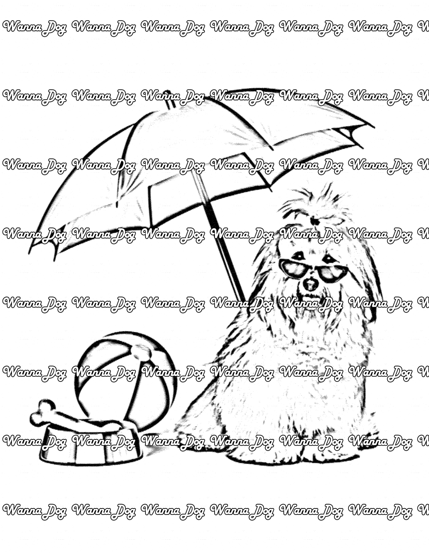 Havanese Coloring Page of a Havanese sitting under a beach umbrella with a ball and bowl