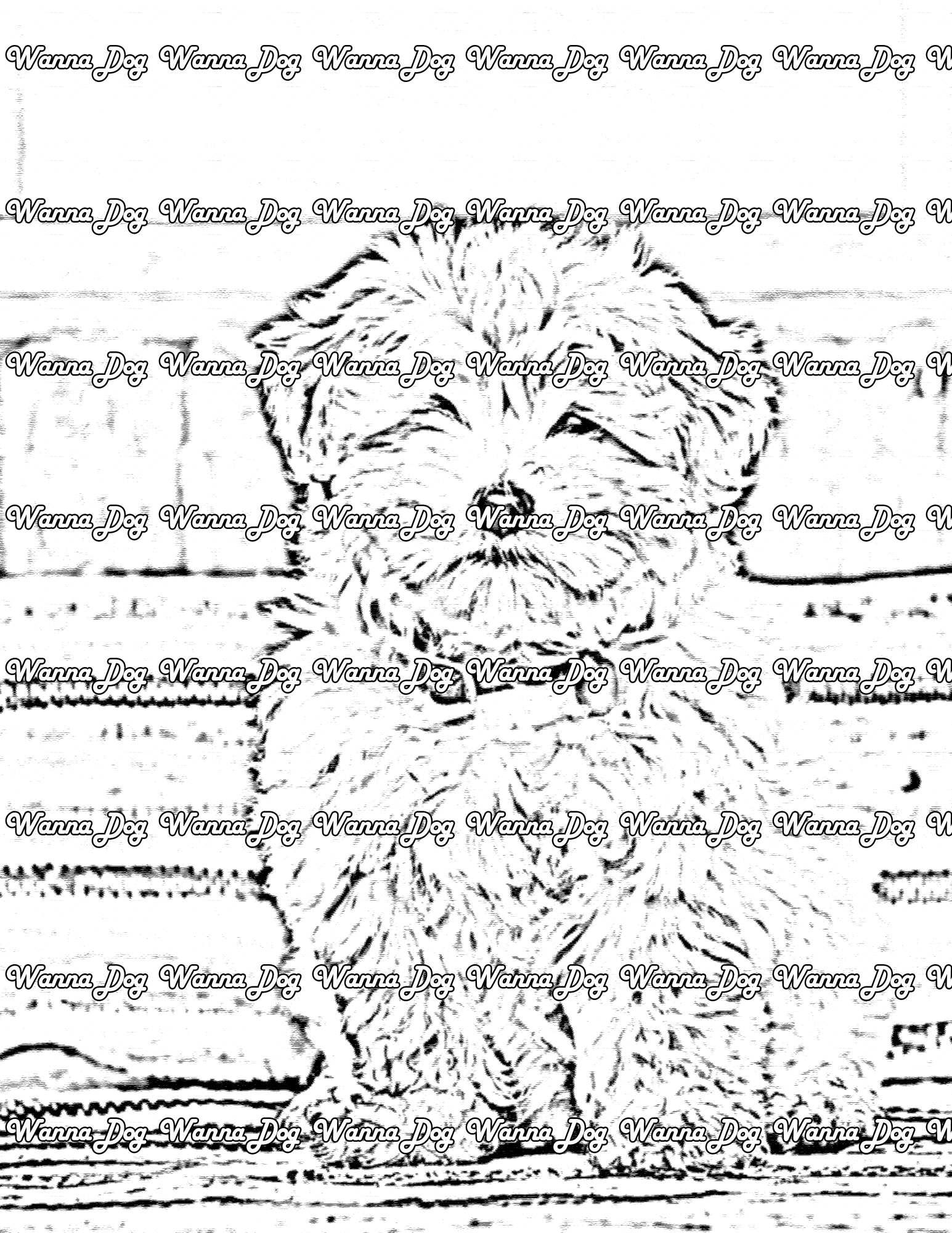 Havanese Coloring Page of a Havanese sitting outside on a bench