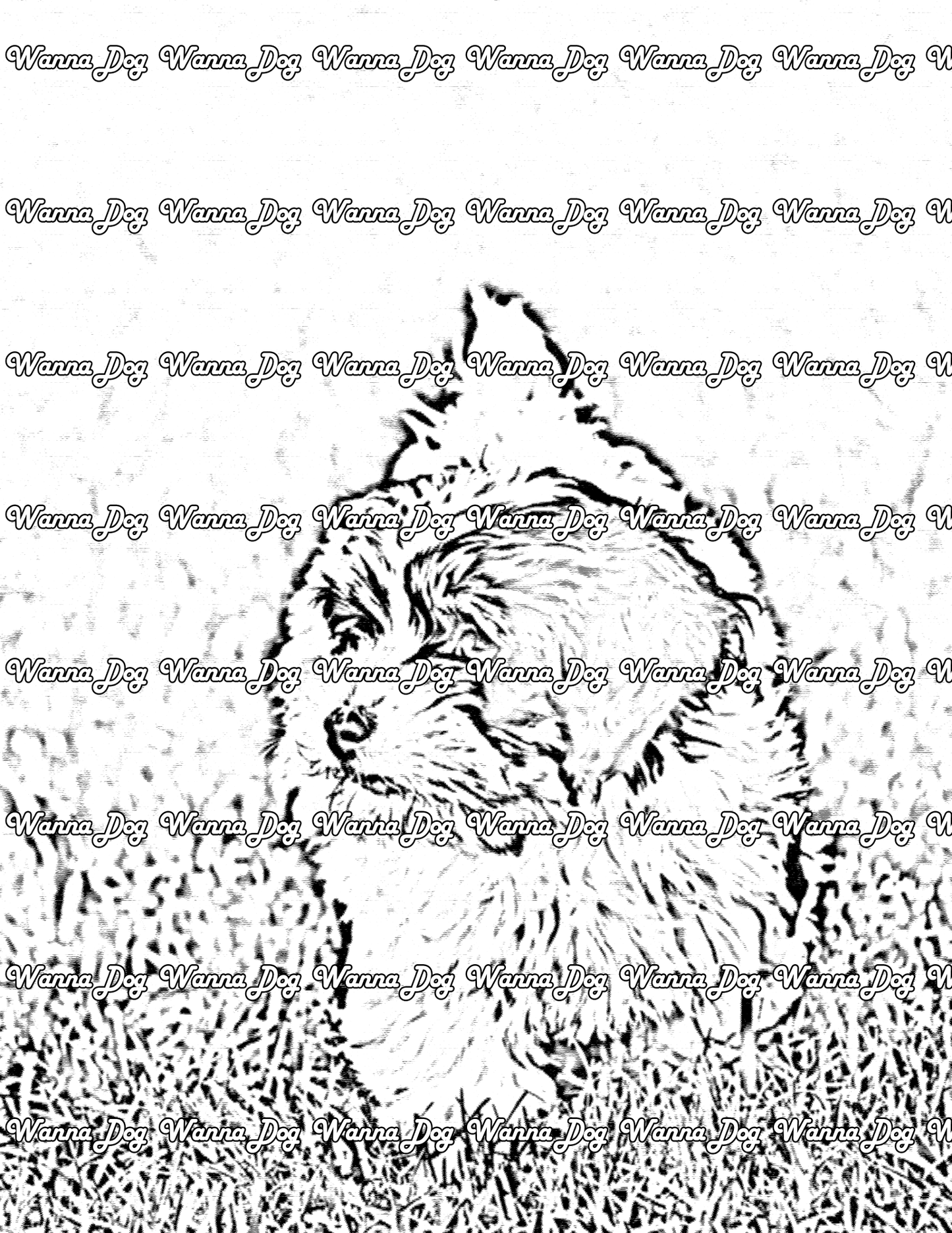 Havanese Coloring Page of a Havanese out for a walk on the grass