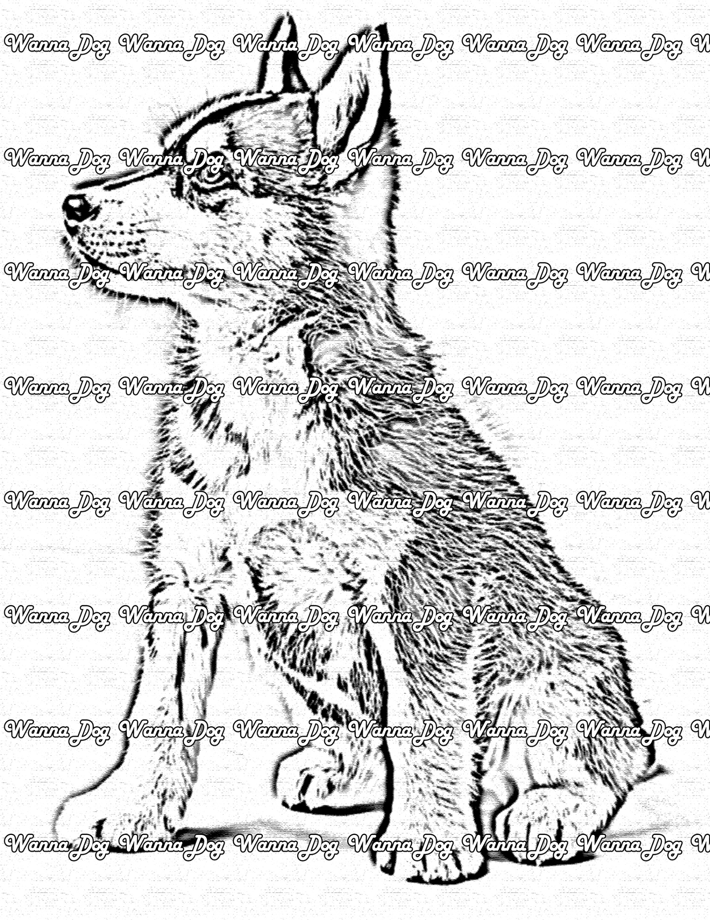 Husky Puppy Coloring Page of a Husky Puppy sitting and looking away from the camera