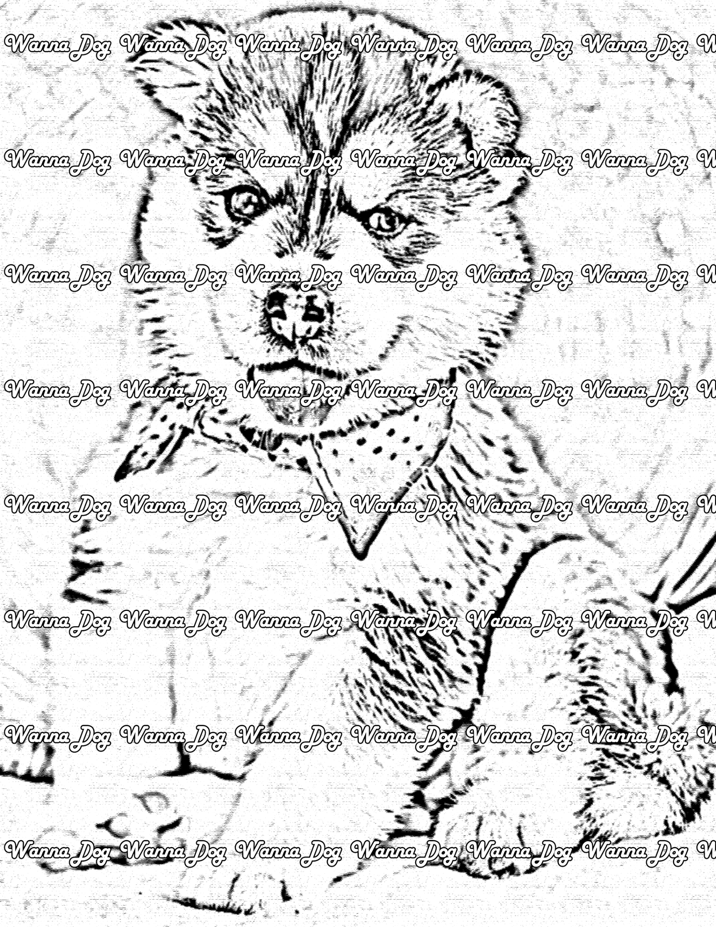 Husky Puppy Coloring Page of a Husky Puppy wearing a banadana