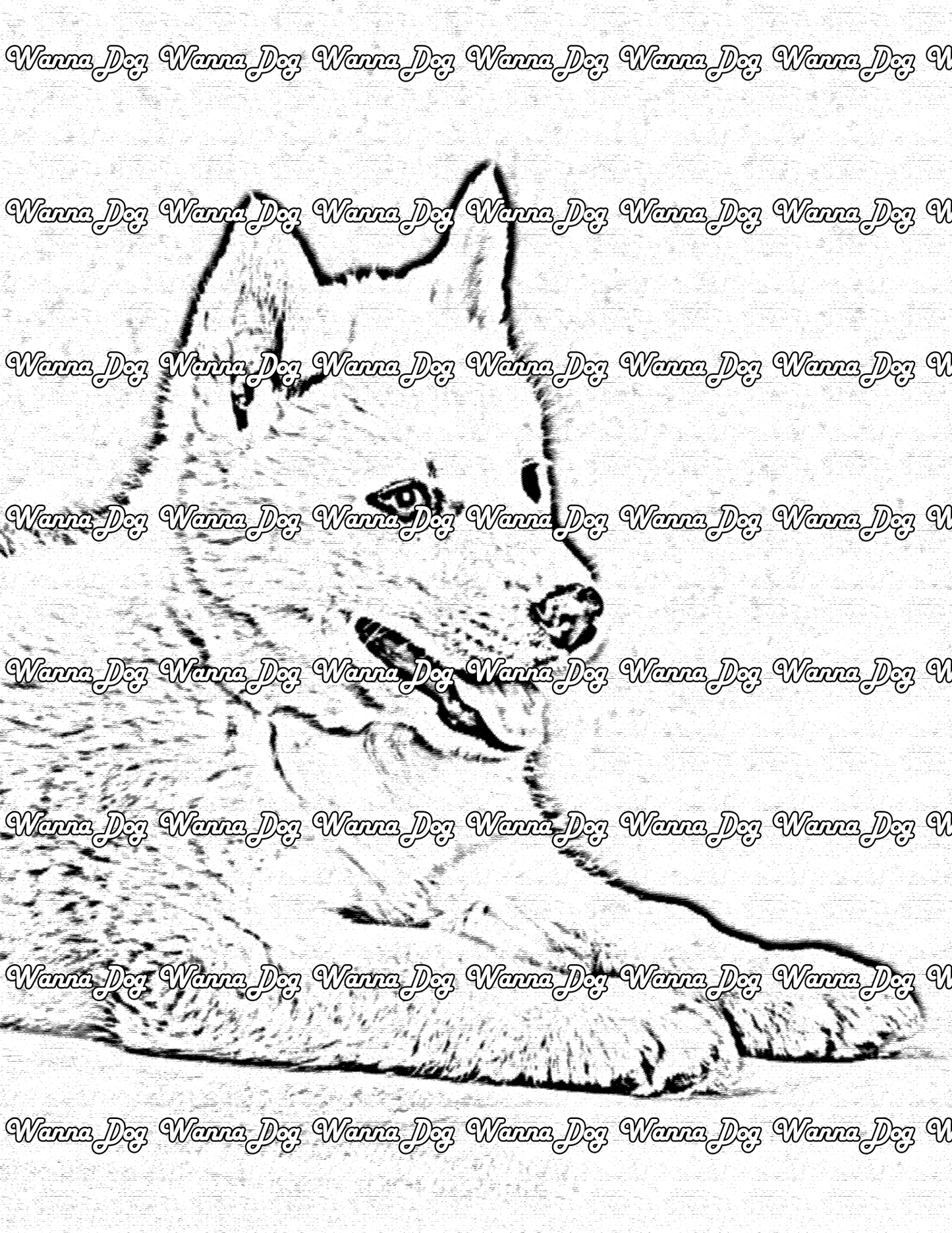 Husky Puppy Coloring Page of a Husky Puppy laying down with their tongue out