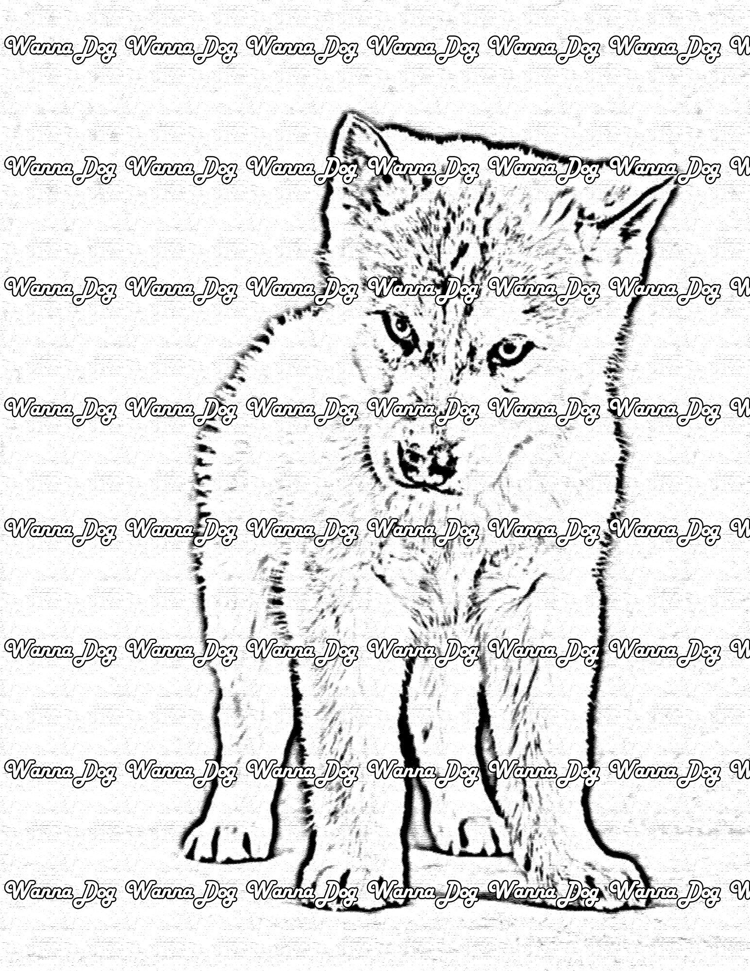 Husky Puppy Coloring Page of a Husky Puppy staring the camera down
