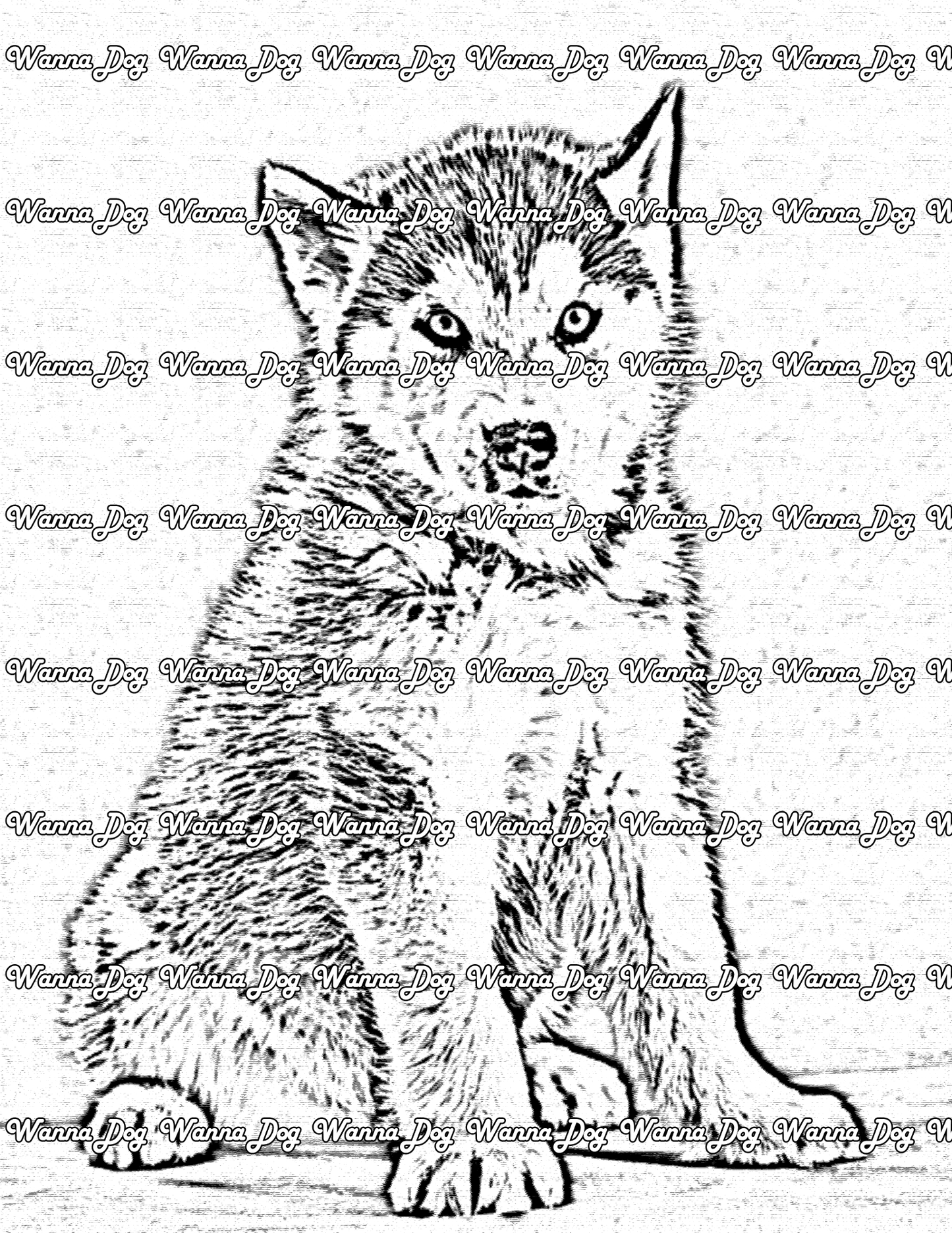Husky Puppy Coloring Page of a Husky Puppy sitting and chilling out
