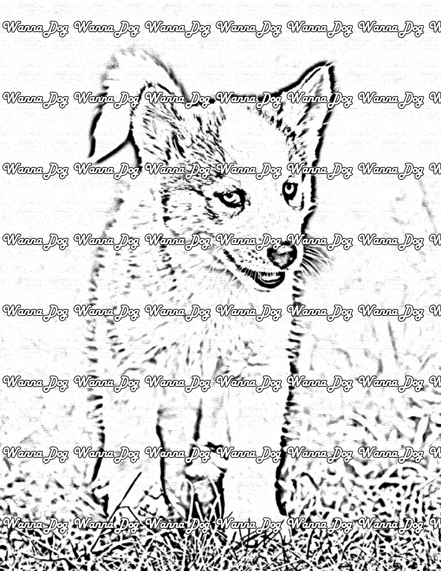 Husky Puppy Coloring Page of a Husky Puppy walking