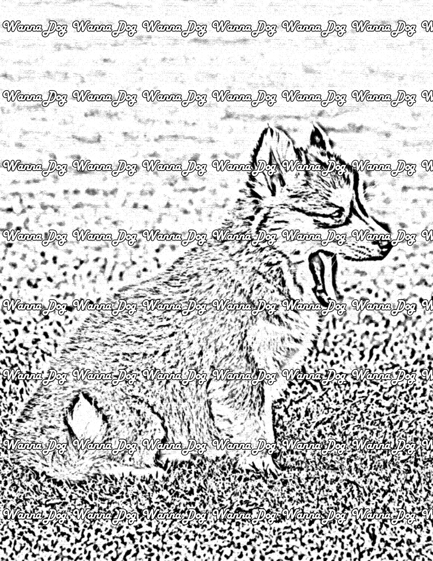 Husky Puppy Coloring Page of a Husky Puppy outside and yawning