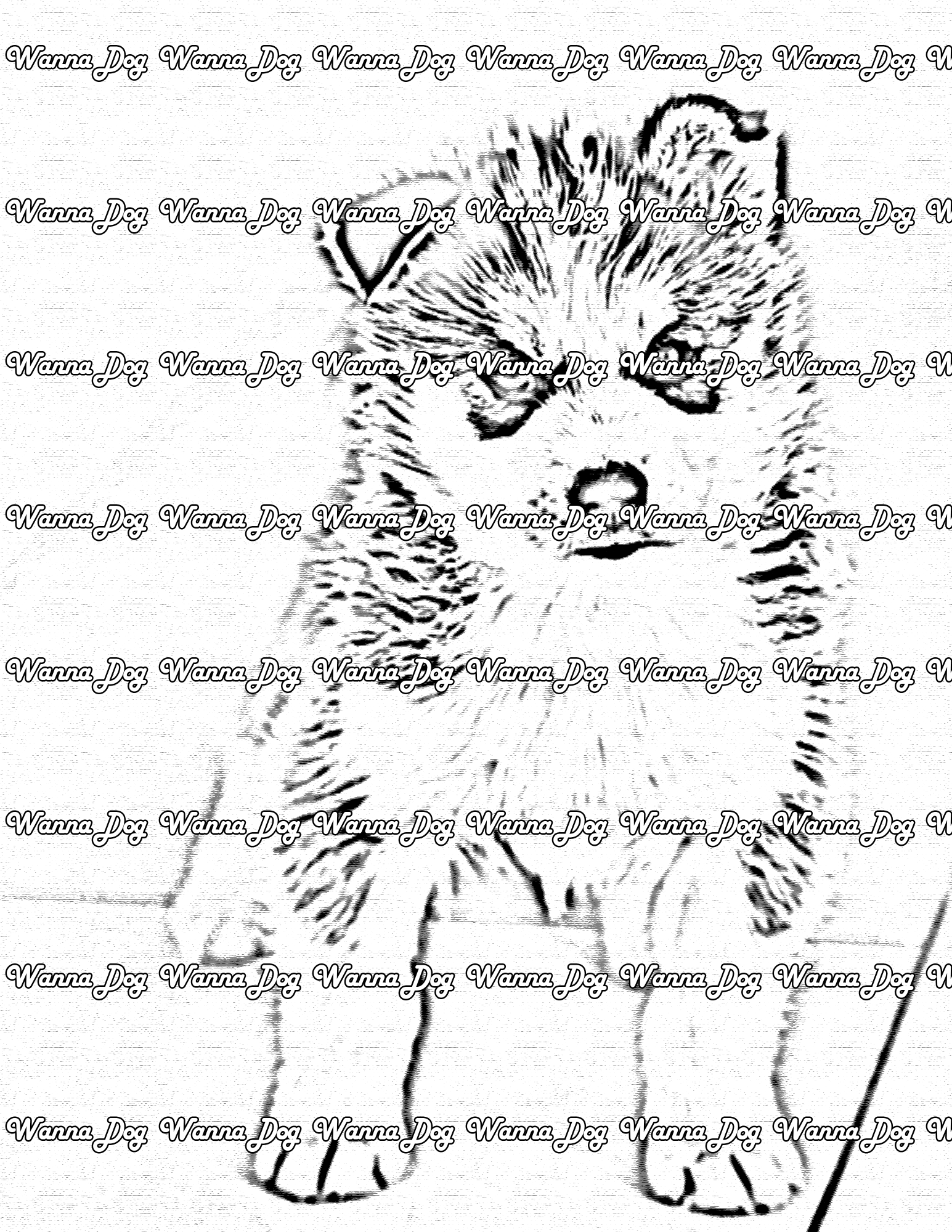 Husky Puppy Coloring Page of a Husky Puppy standing