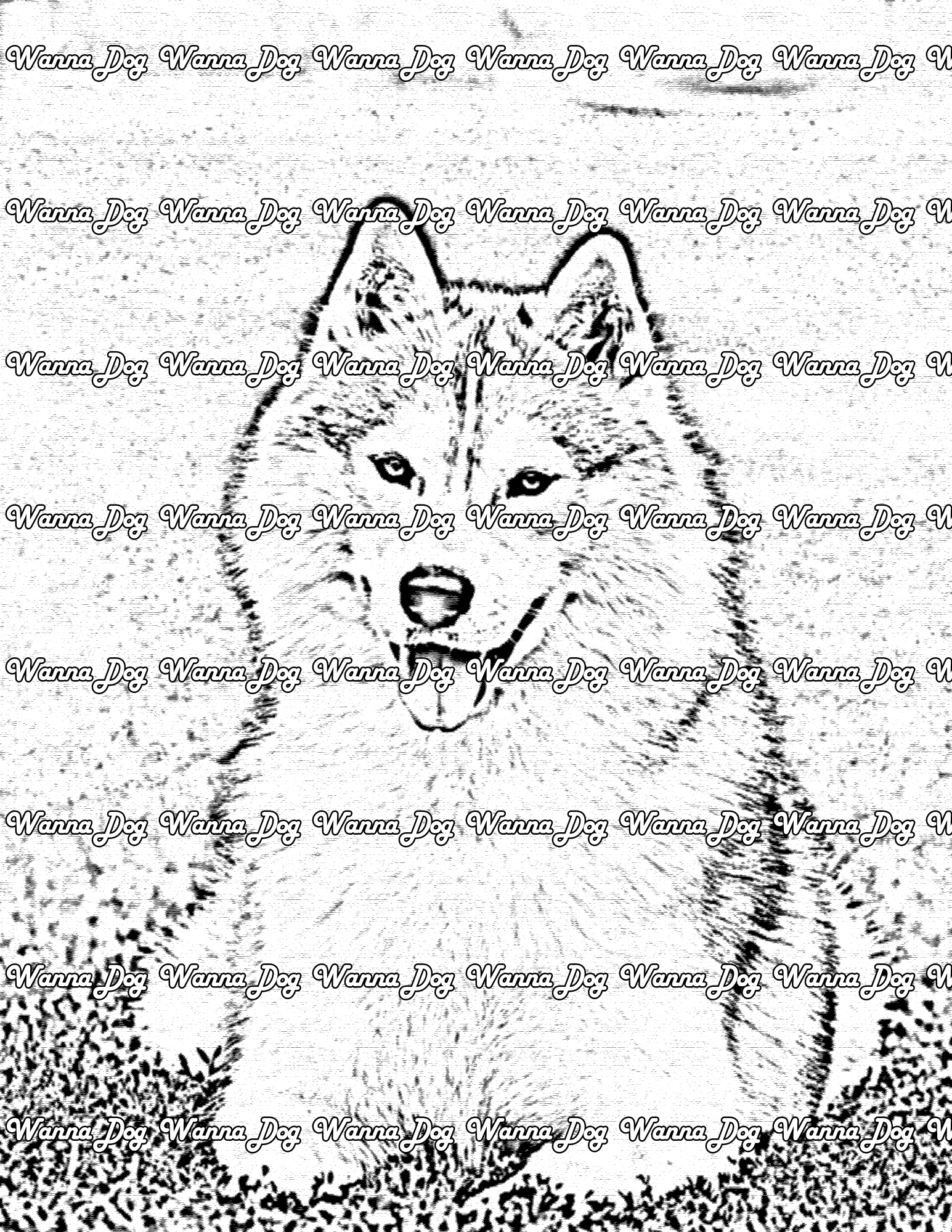 Husky Puppy Coloring Page of a Husky Puppy laying down on the grass
