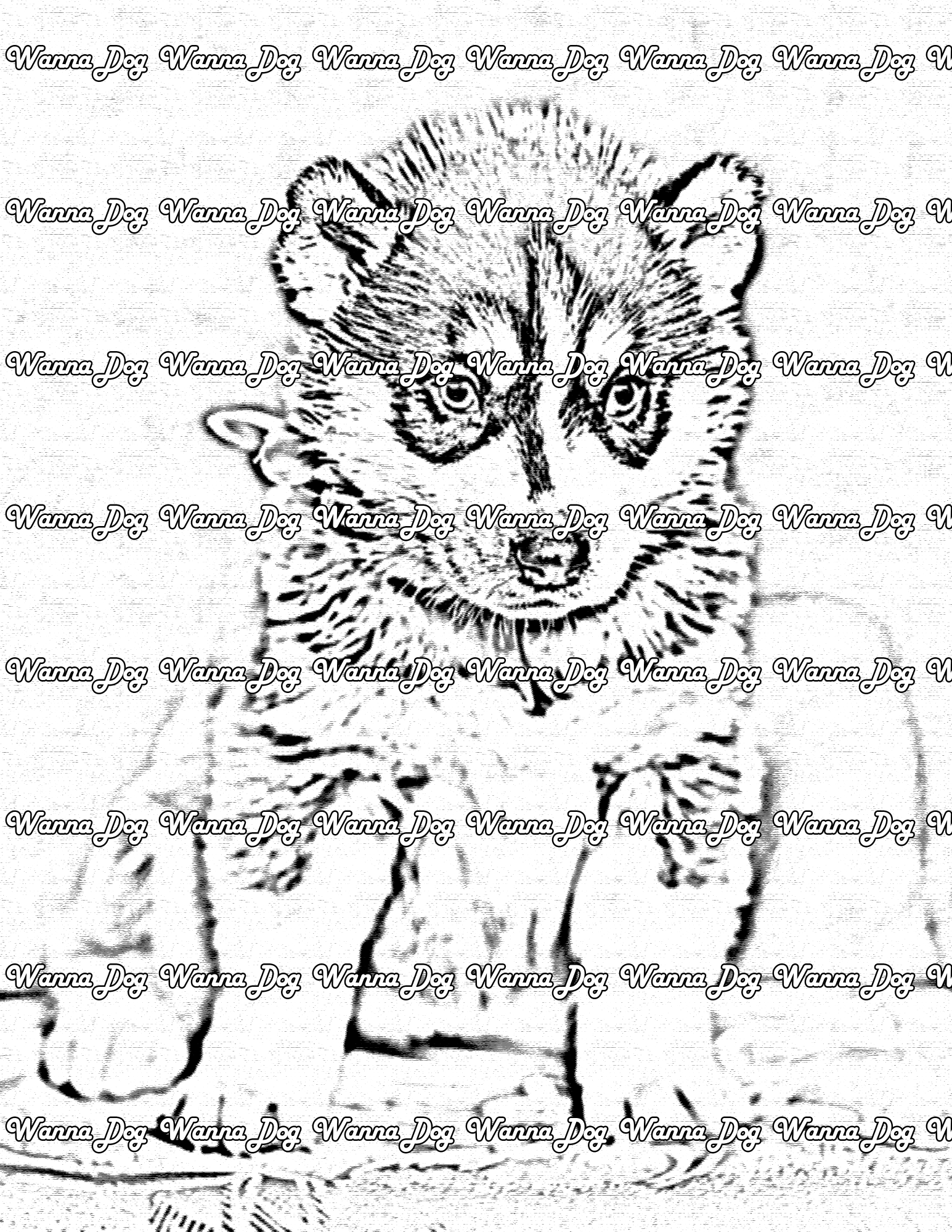 Husky Puppy Coloring Page of a Husky Puppy sitting outside