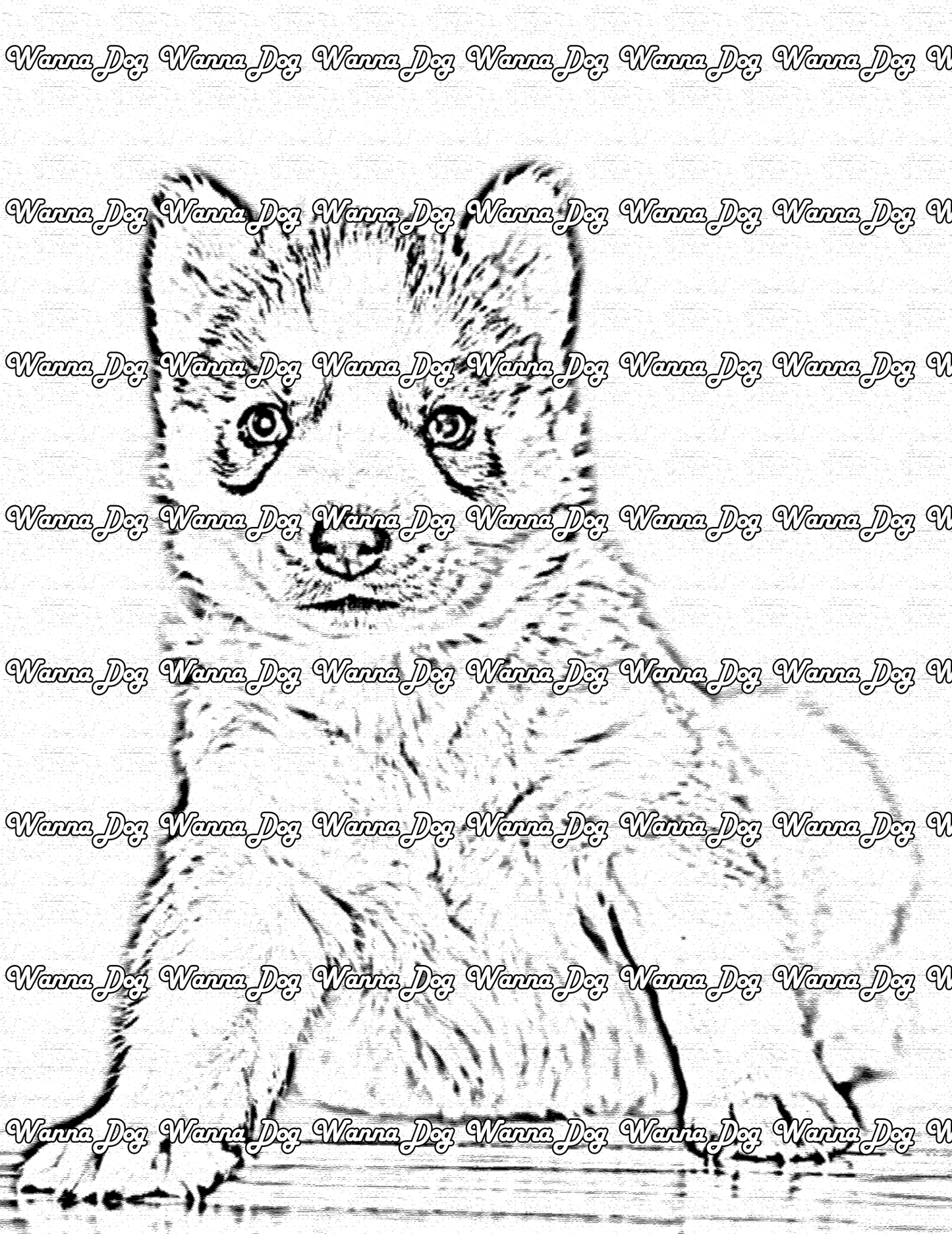 Husky Puppy Coloring Page of a Husky Puppy sitting and spreading out