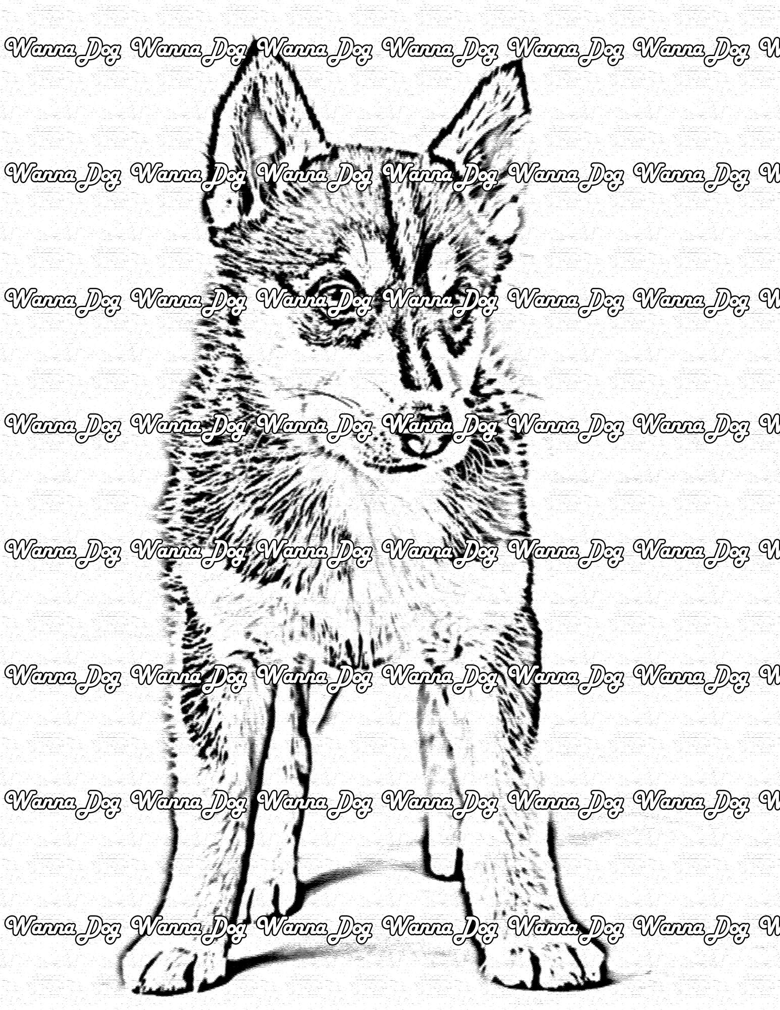 Husky Puppy Coloring Page of a Husky Puppy standing, posing, and looking away from the camera