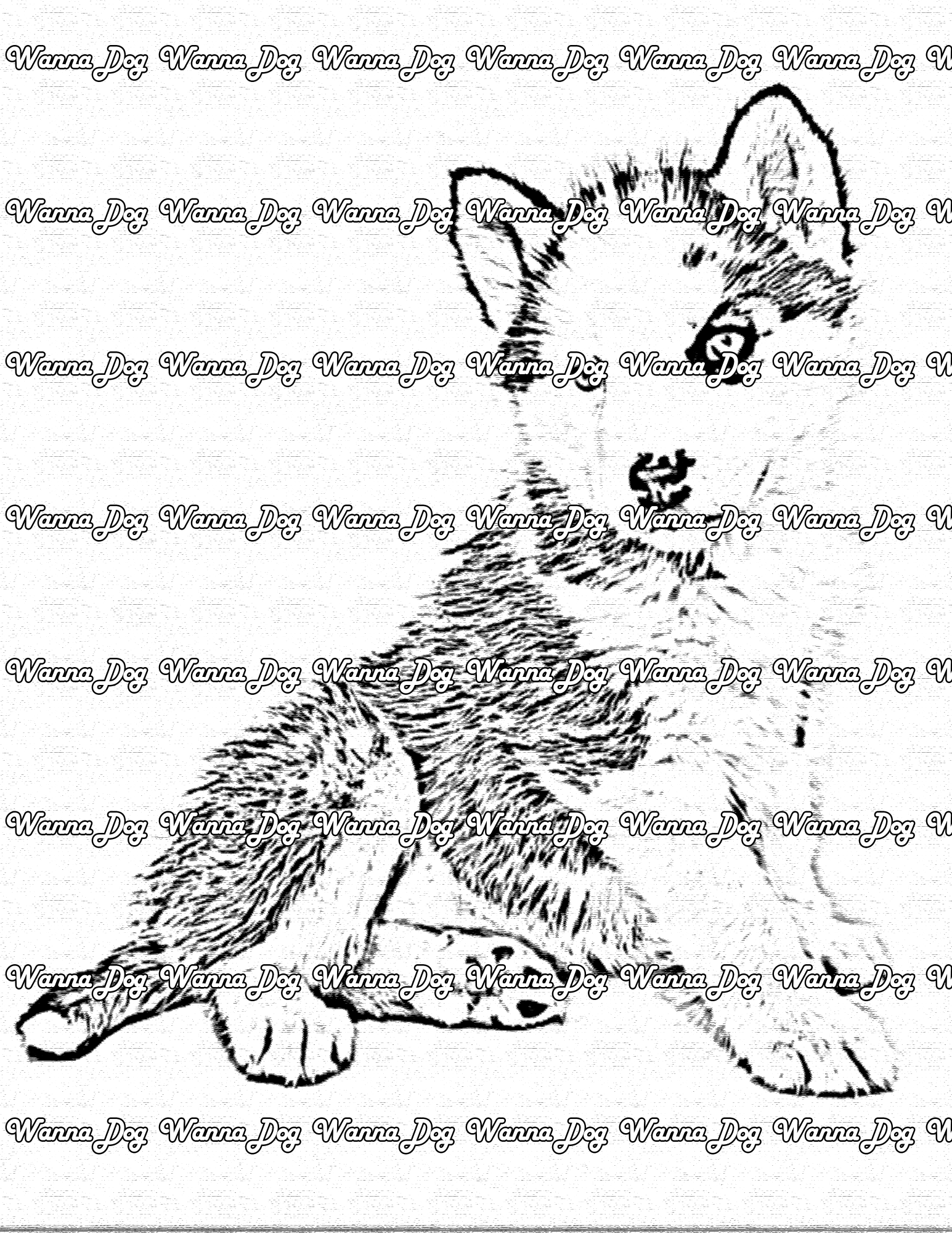 Husky Puppy Coloring Page of a Husky Puppy sitting and posing