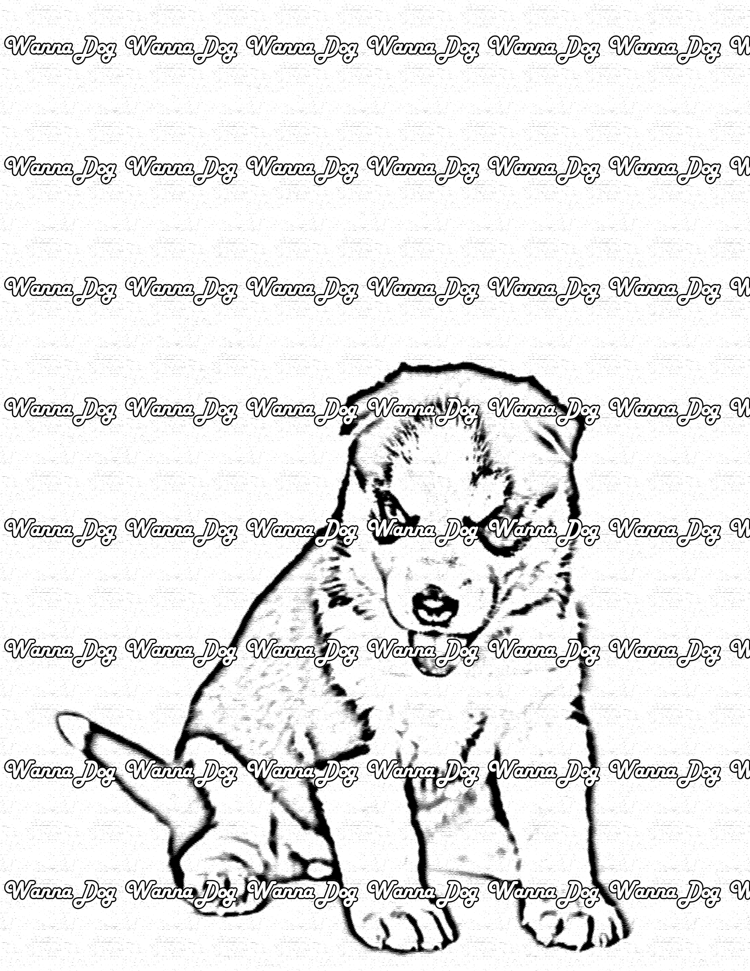 Husky Puppy Coloring Page of a Husky Puppy sitting with their tongue out
