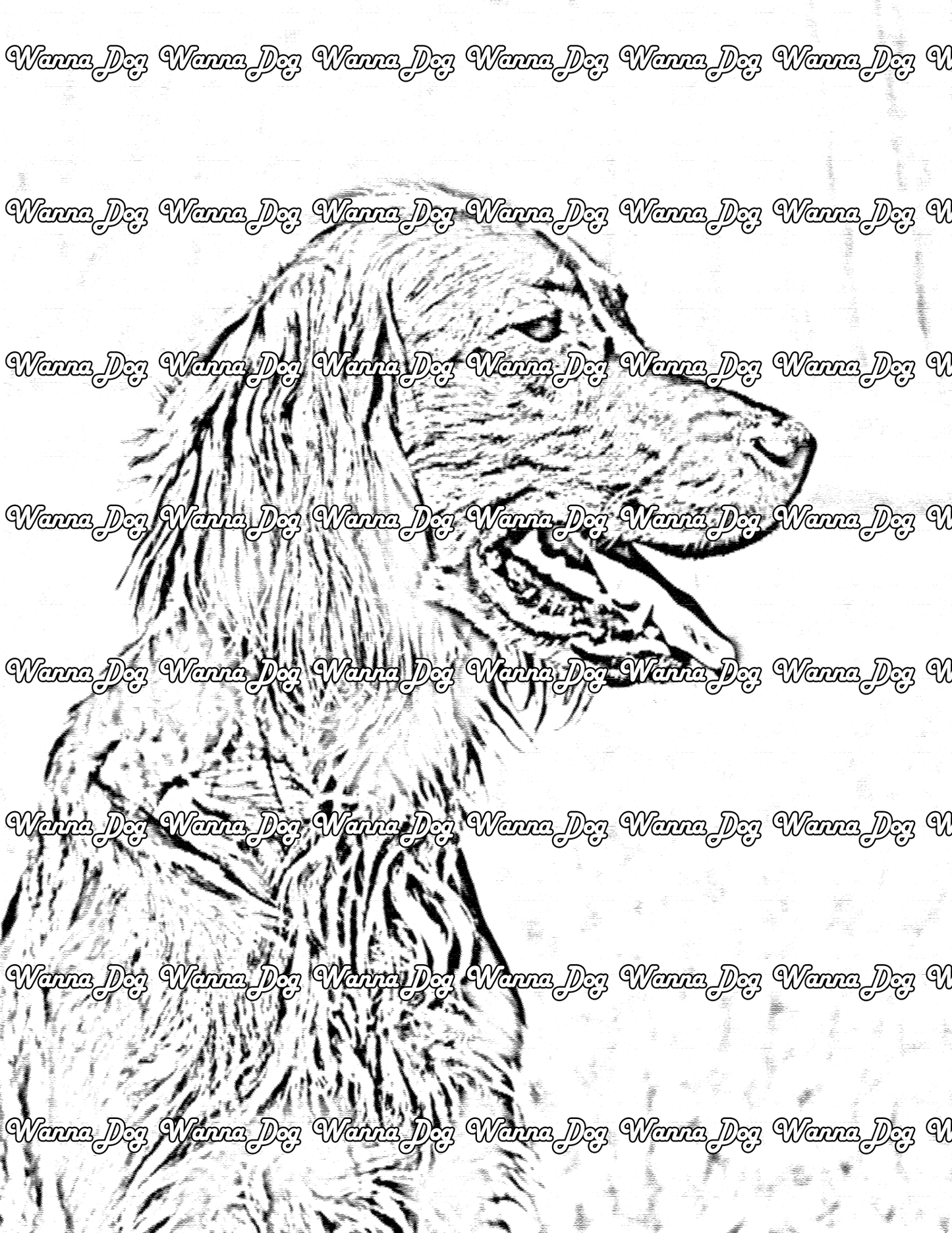 Irish Setter Coloring Page of a Irish Setter with their tongue out