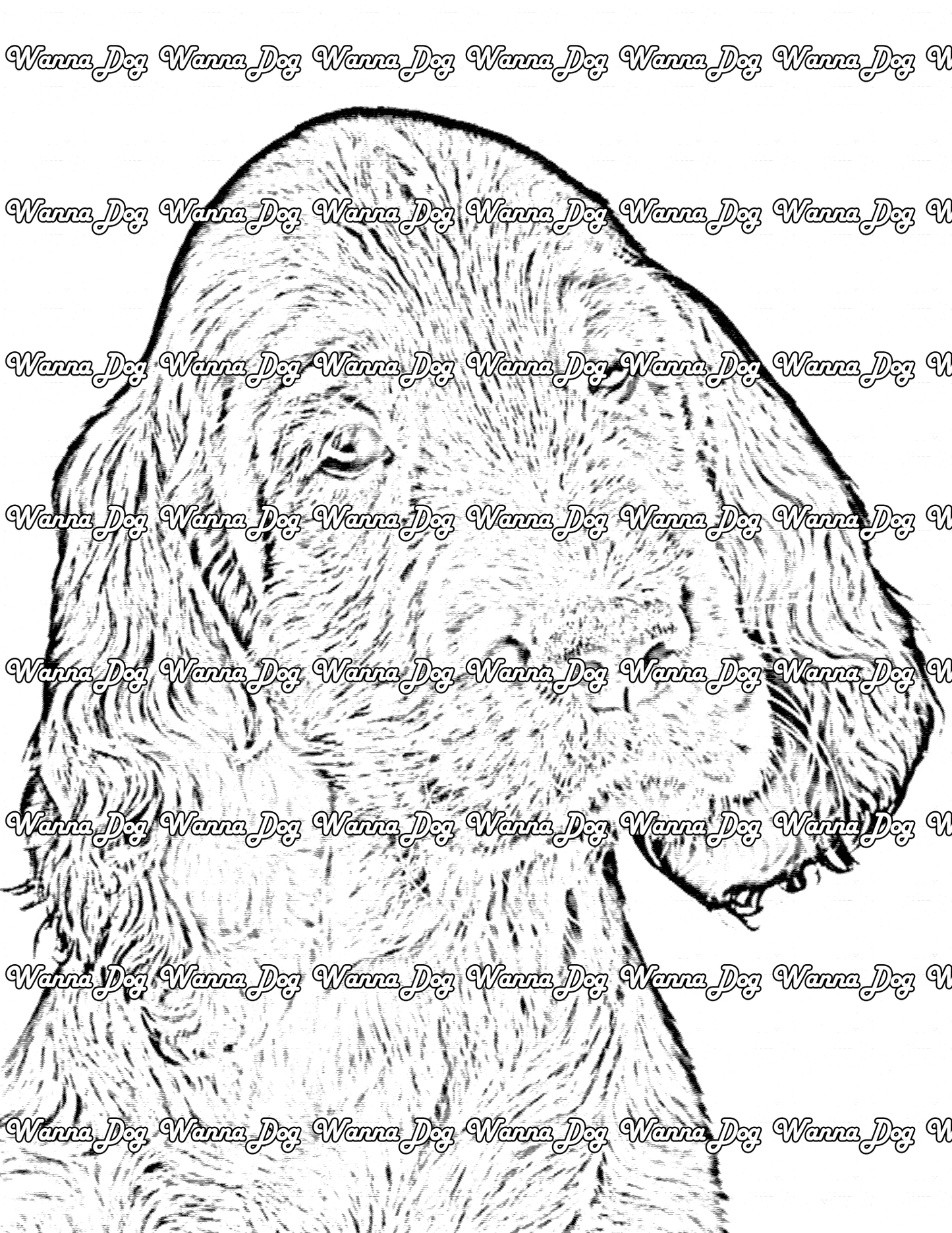 Irish Setter Coloring Page of a Irish Setter puppy portrait