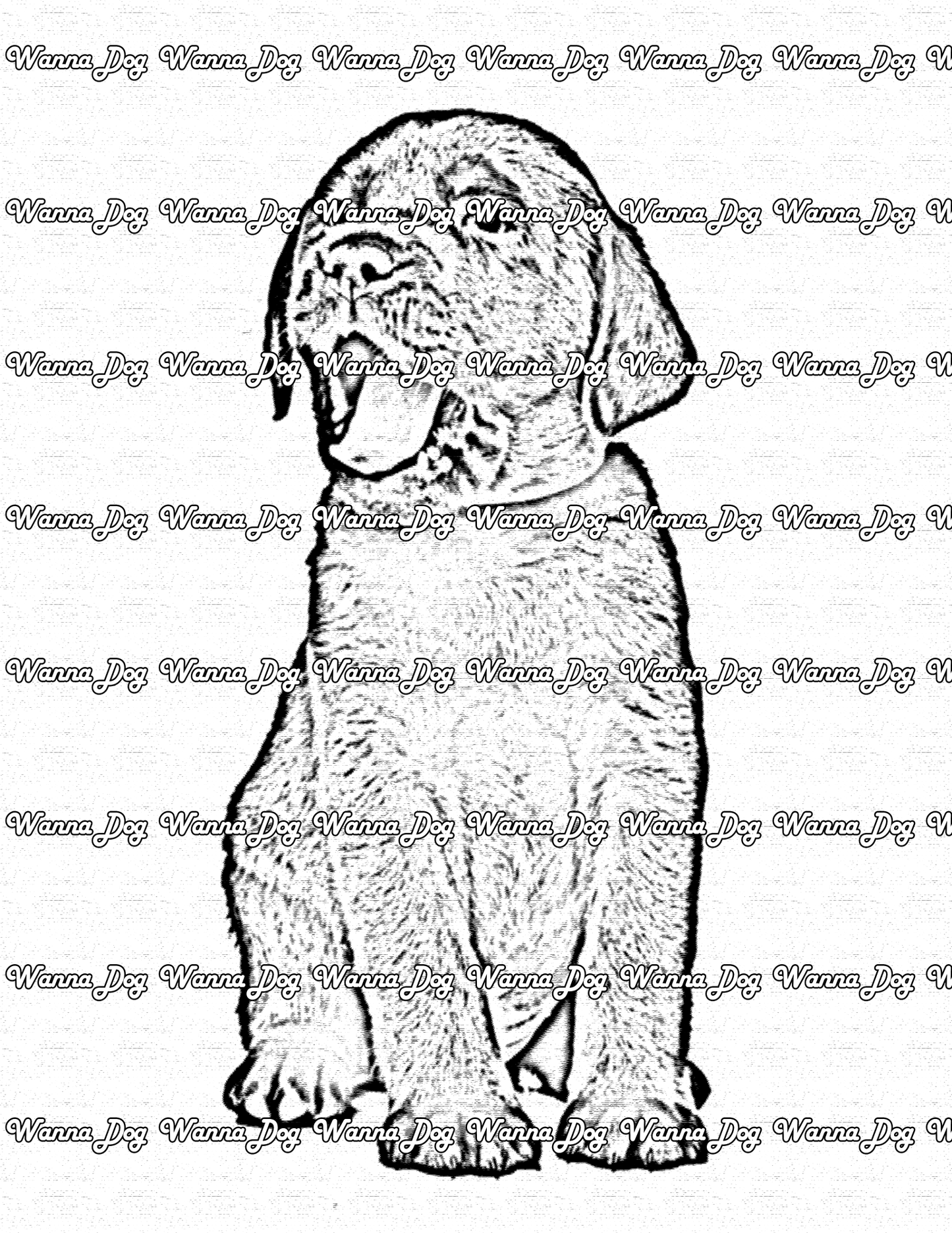 Lab Puppy Coloring Page of a Lab Puppy sitting with their tongue out