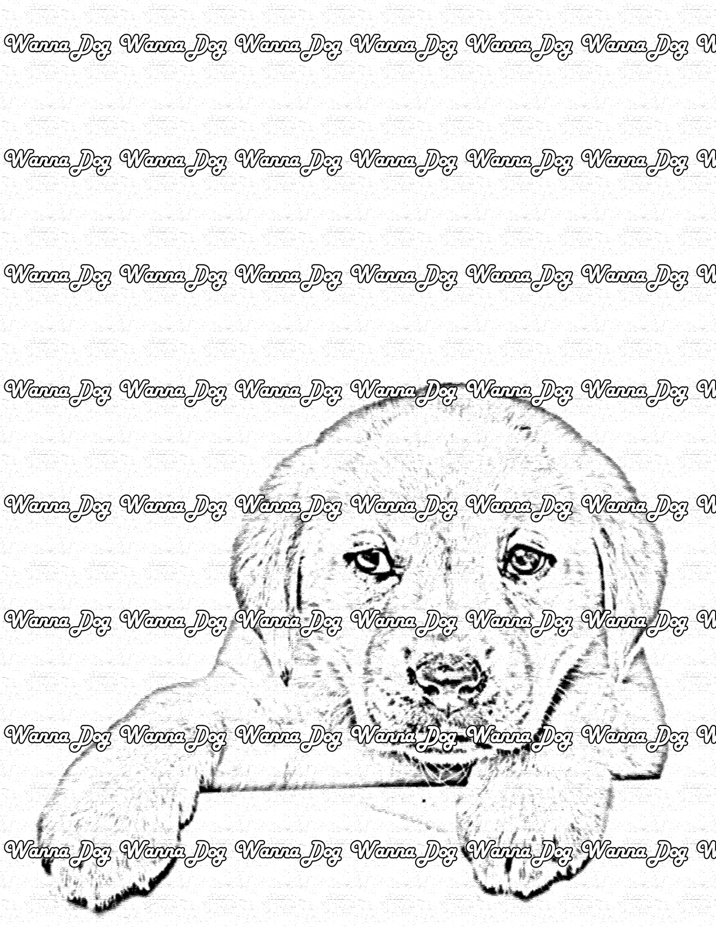 Lab Puppy Coloring Page of a Lab Puppy leaning